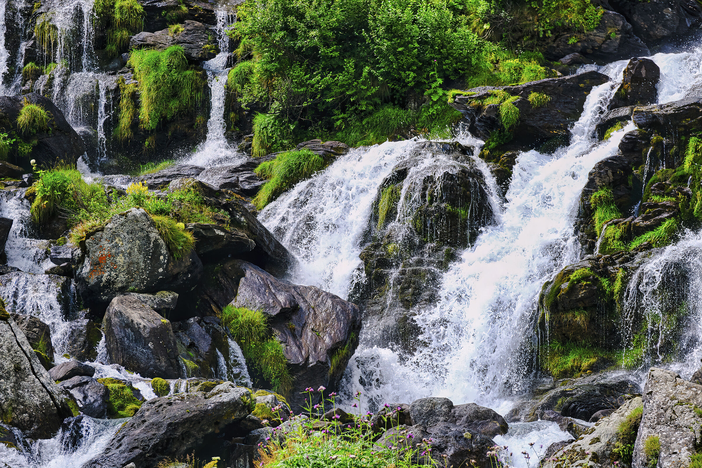 Fiume Po a Pian della Regina