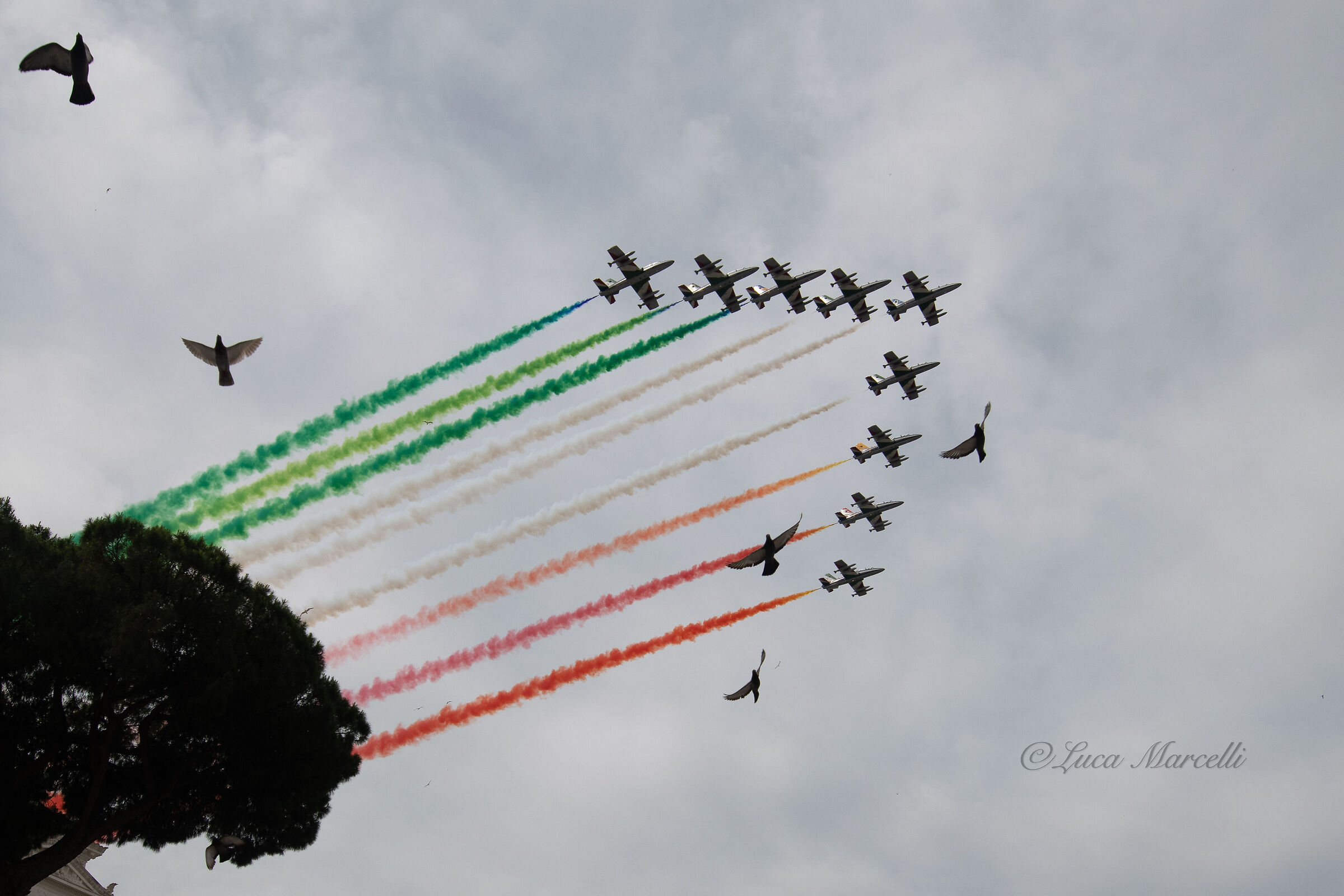 Arrows and Pigeons June 2, 2021