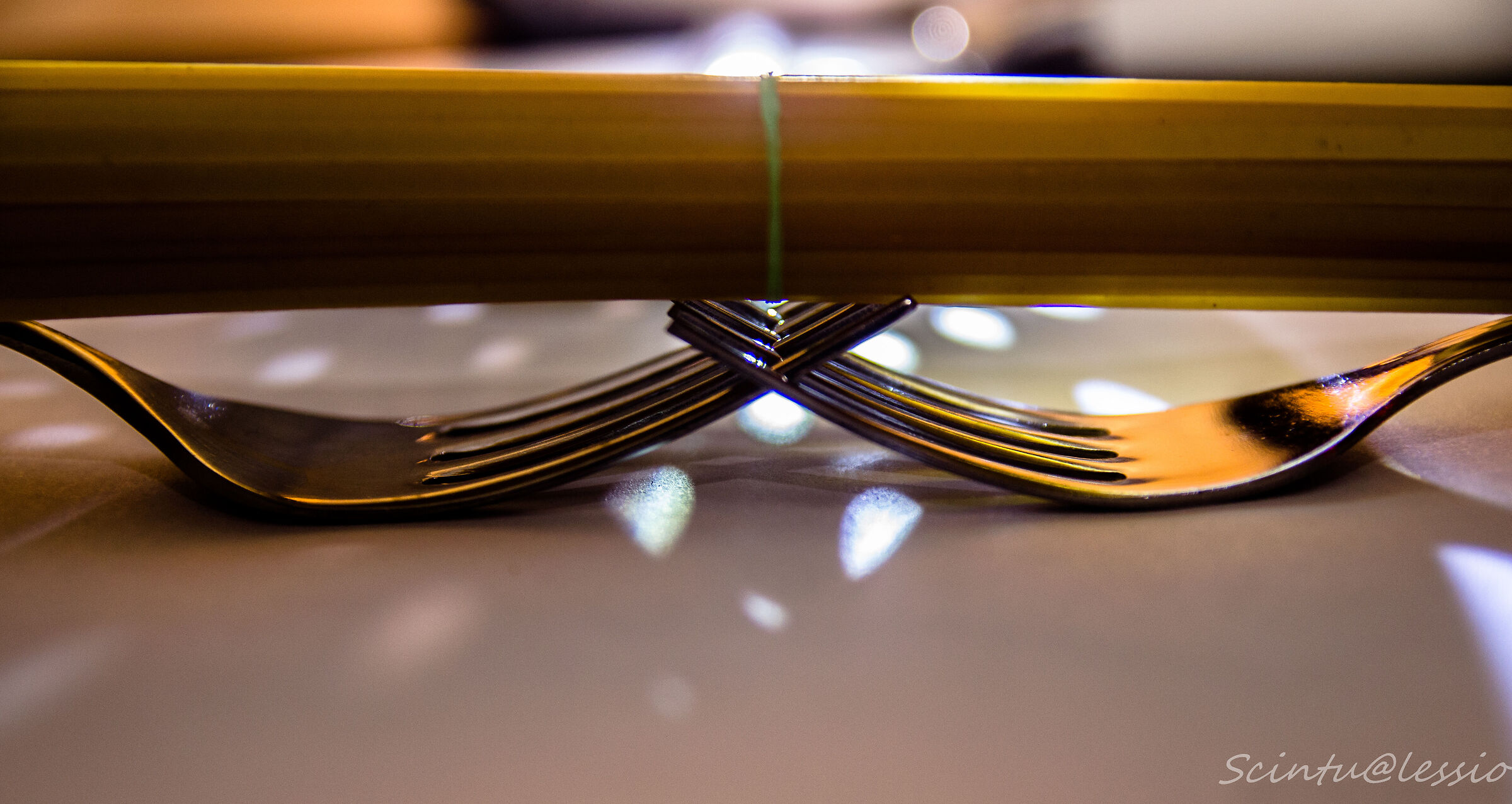 Spaghetti e forchette