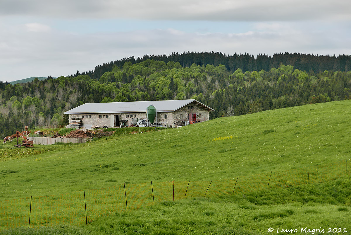 Stable in Valmenera