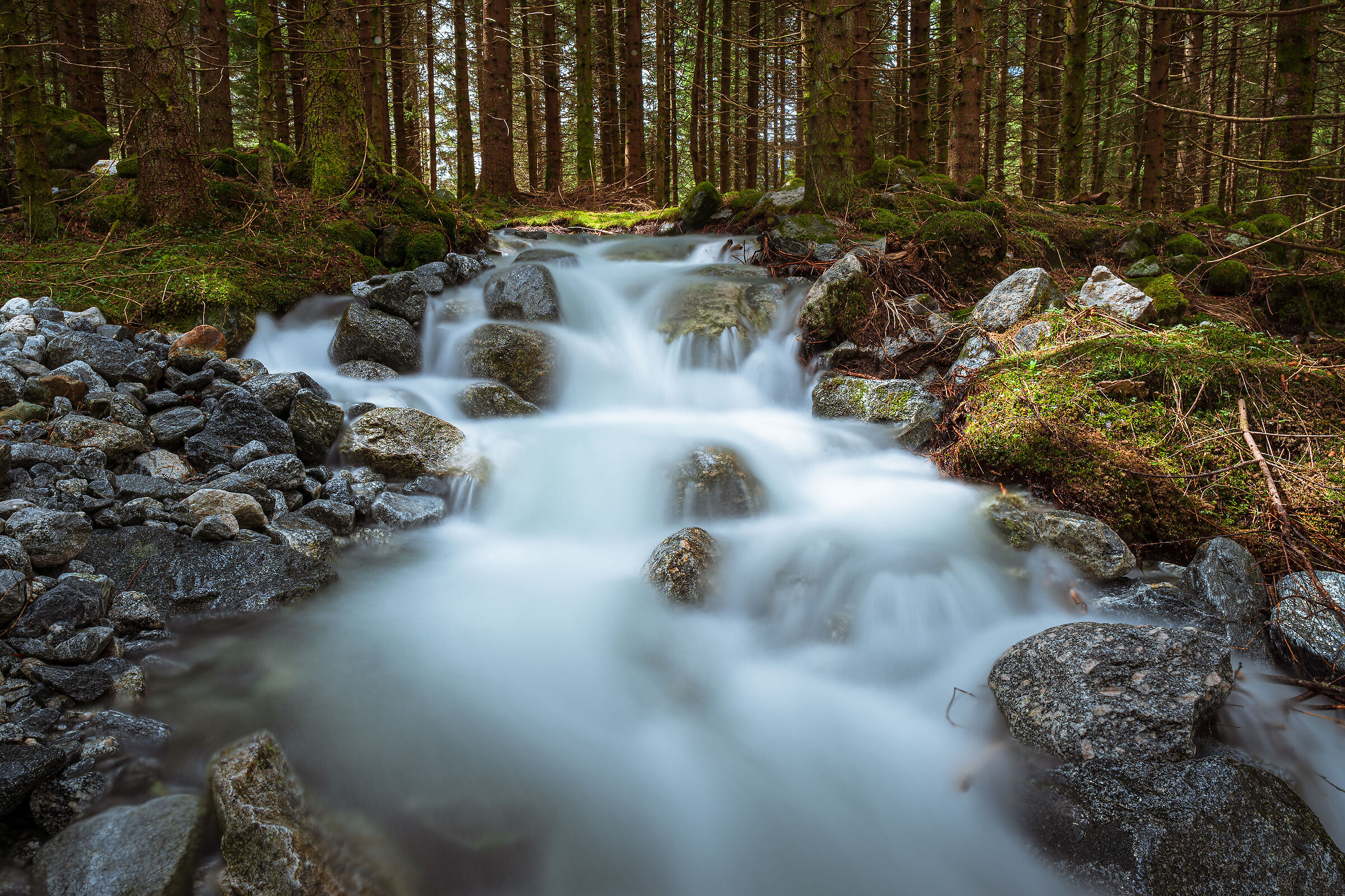Stream in flood in the woods of Valtellina