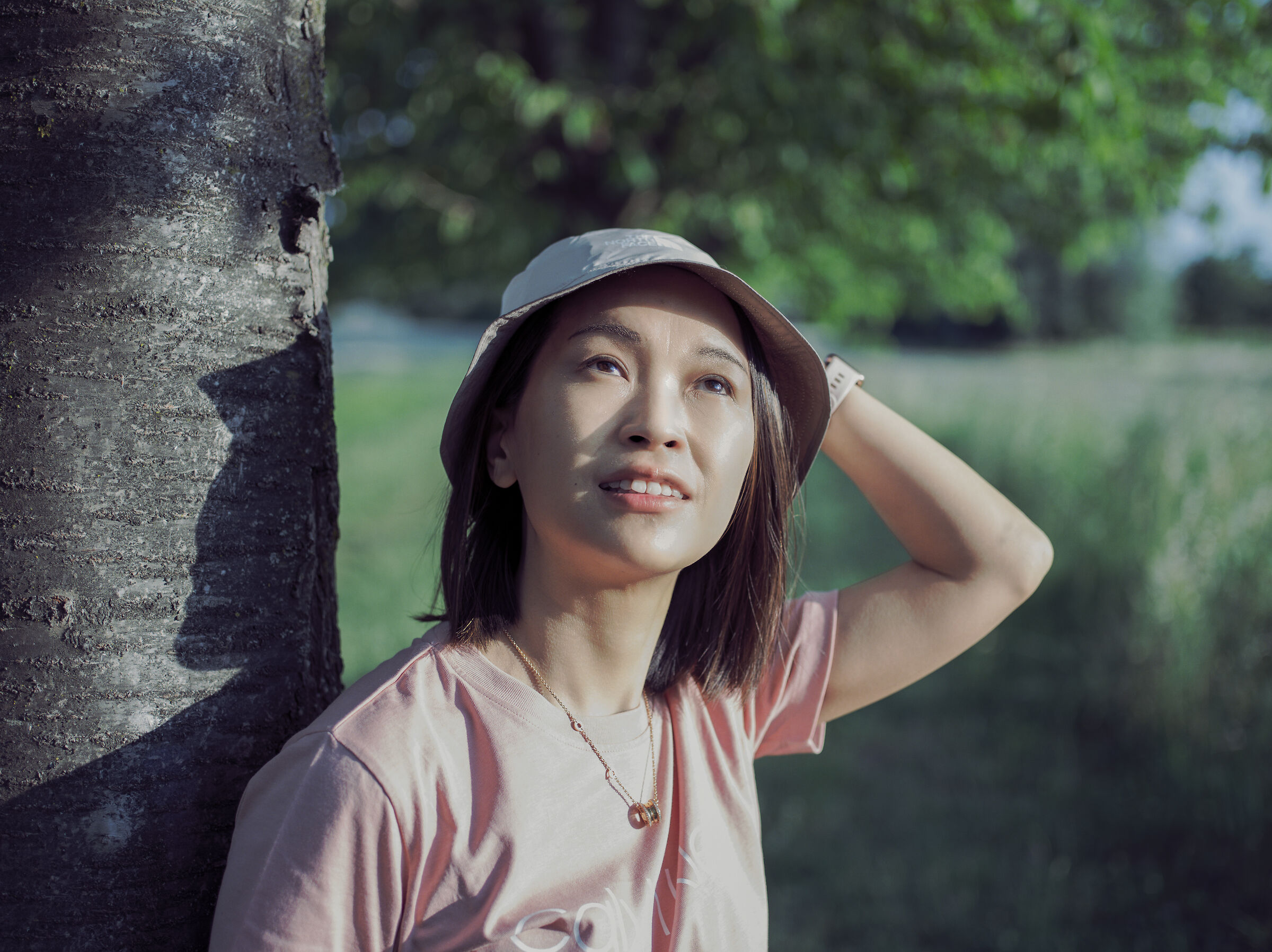 Under the sakura trees