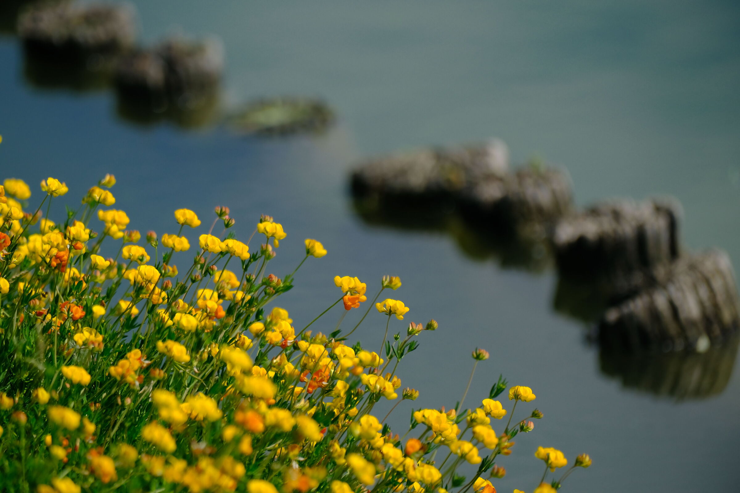 Laghi Curiel - Campogalliano (MO) 3