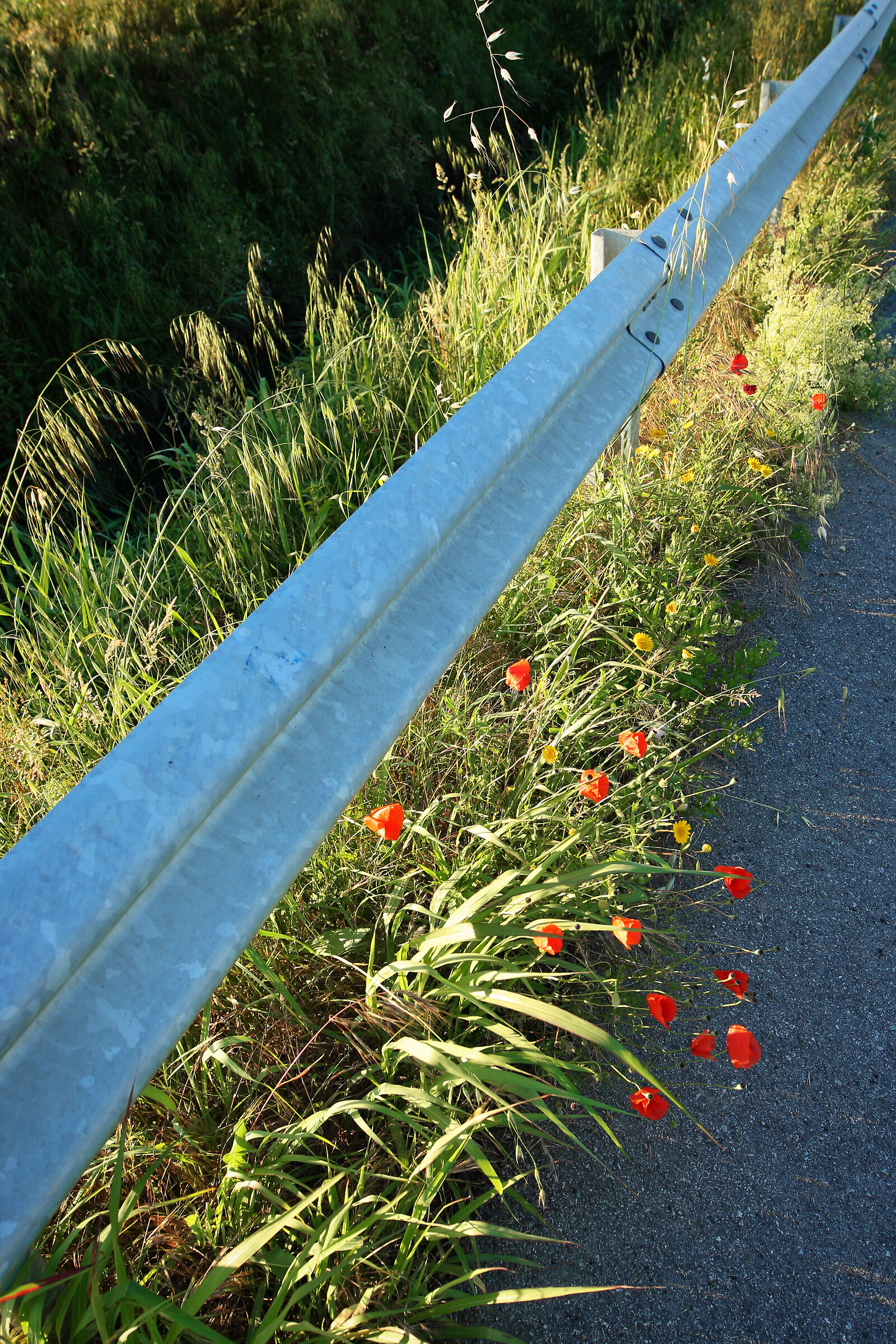 Un occhio al dettaglio