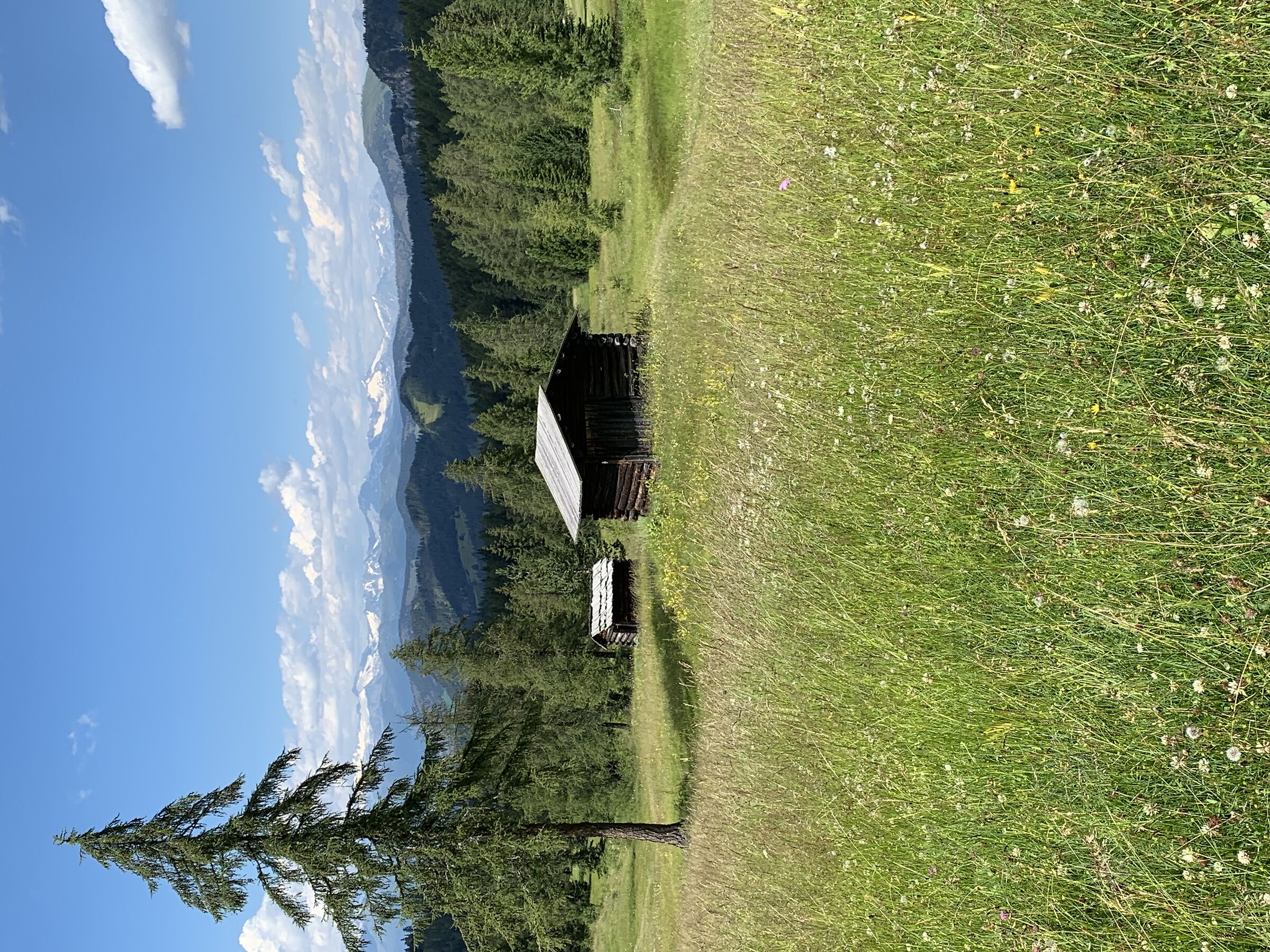 Armentara meadows
