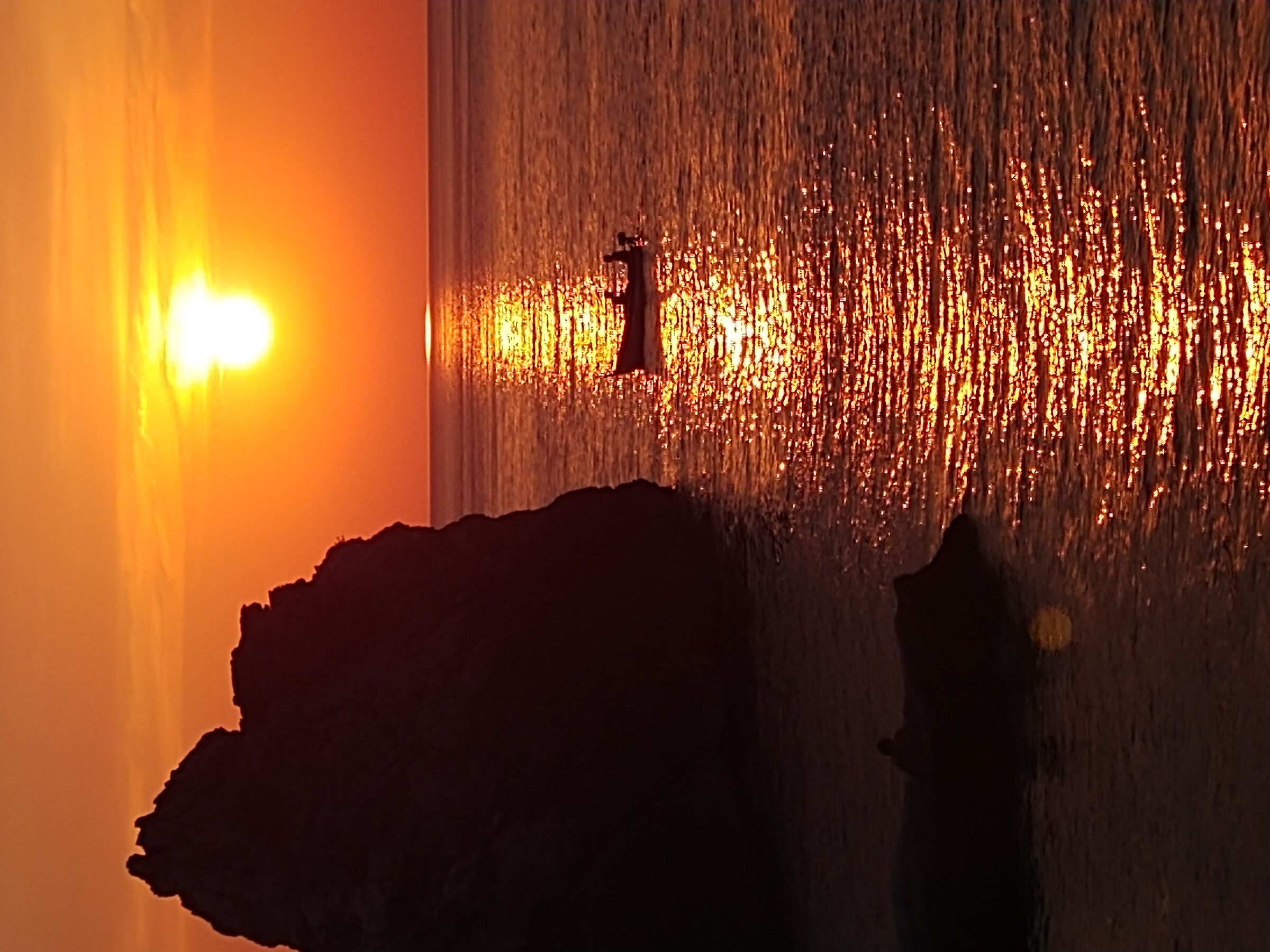 La scontata di portovenere