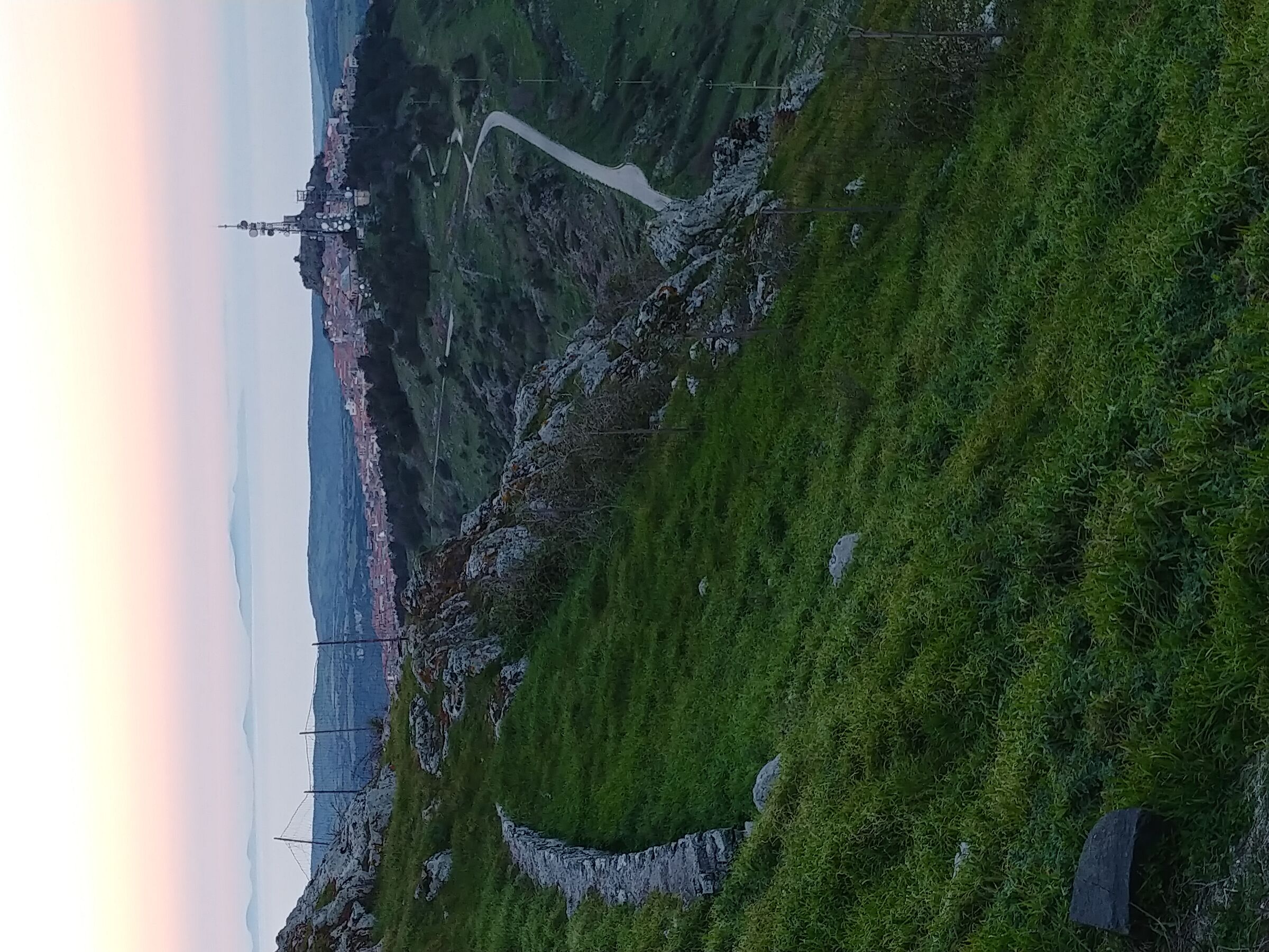 L'asinara da Bonaria