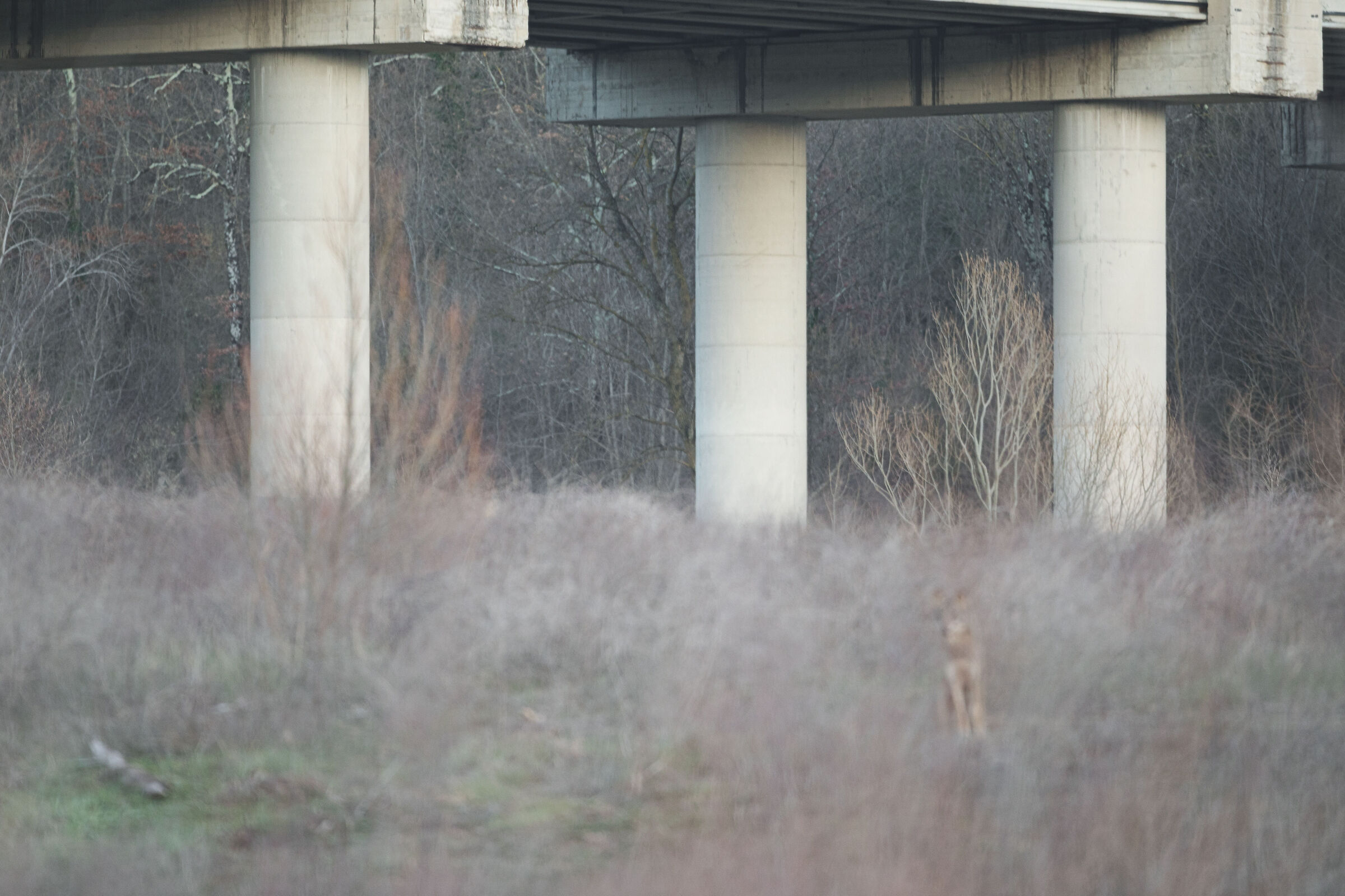 La cilecca più grossa della mia vita (ma che emozione...