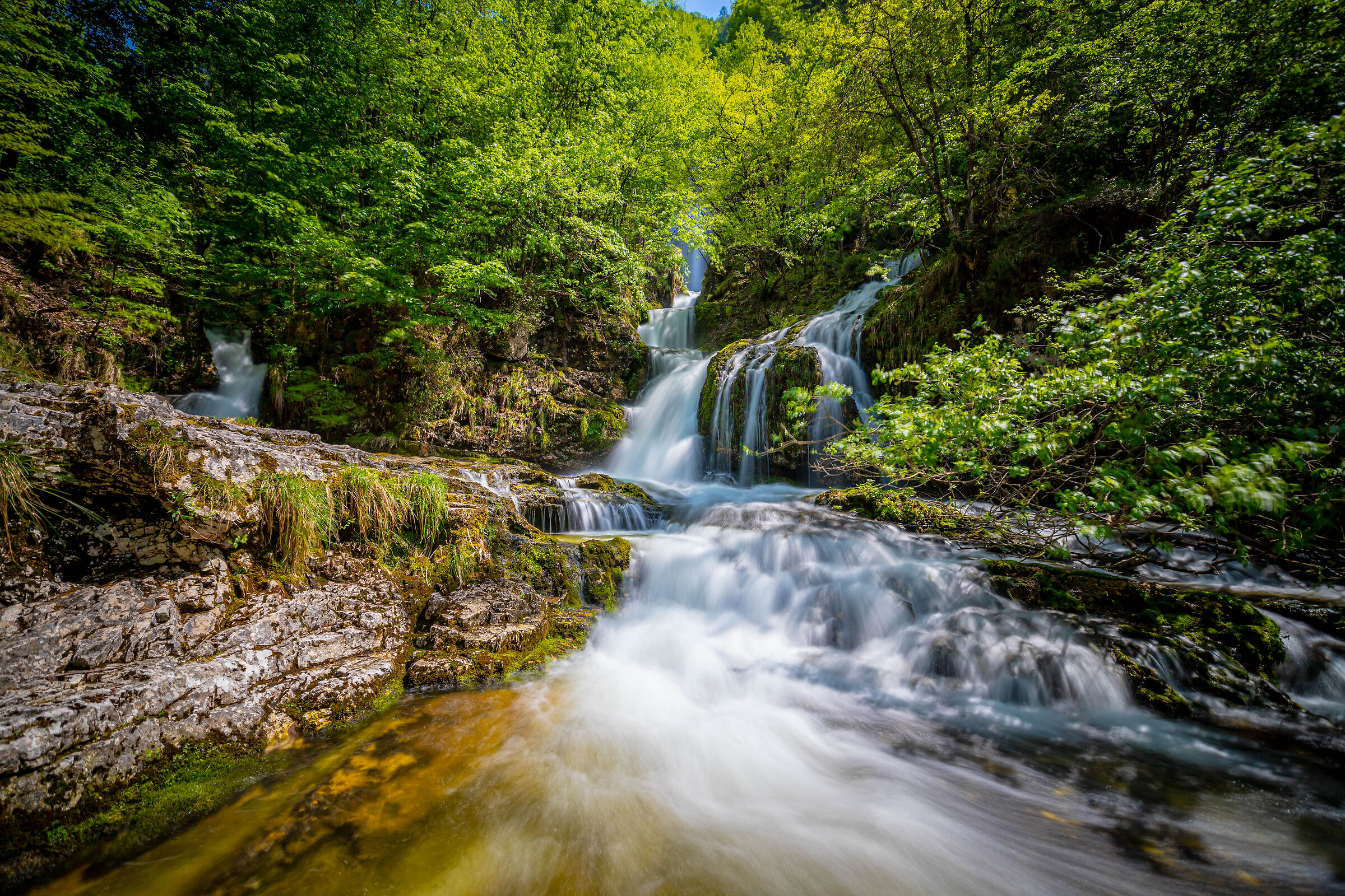 Chiare, fresche et dolci acque