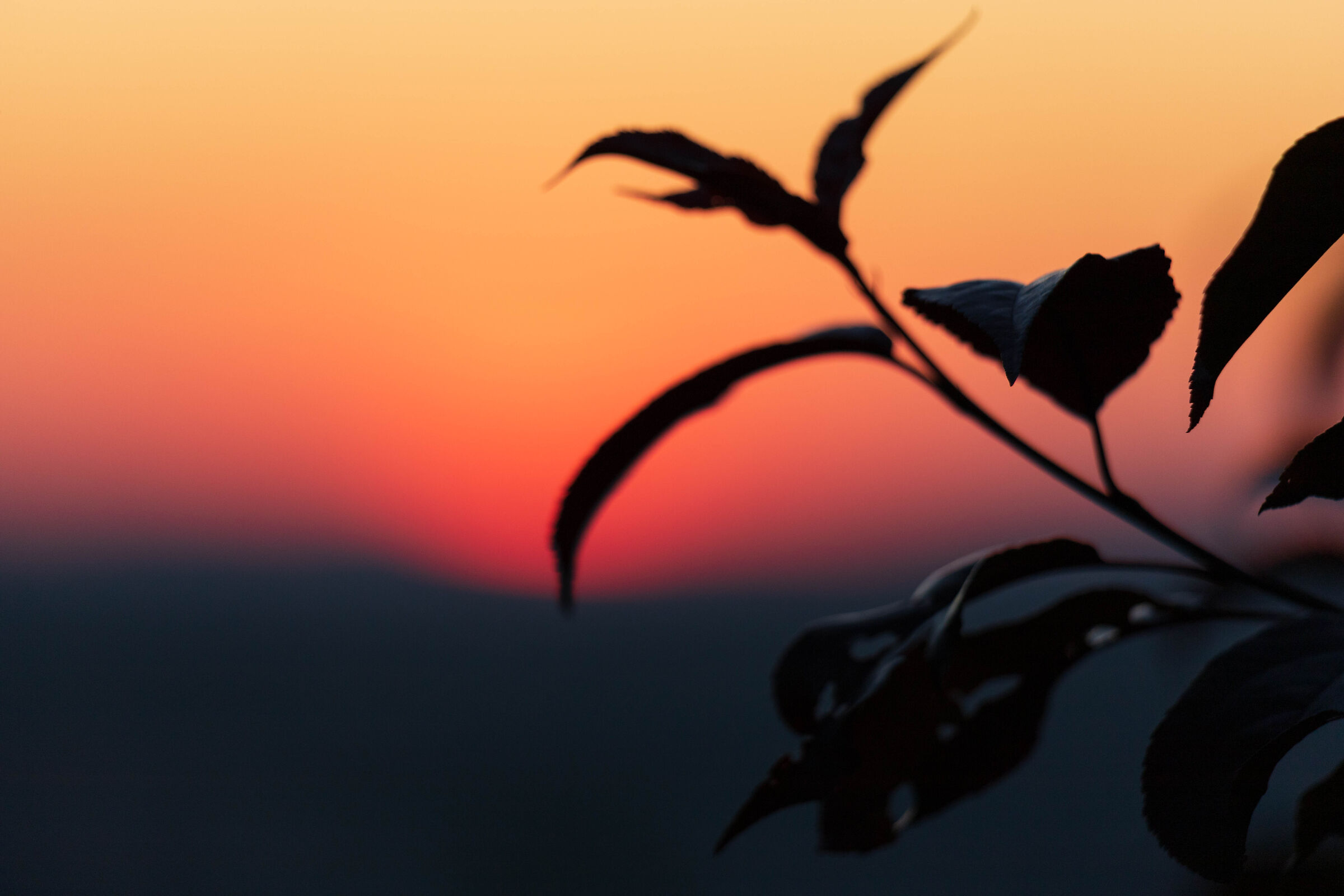 Into the Sun 2