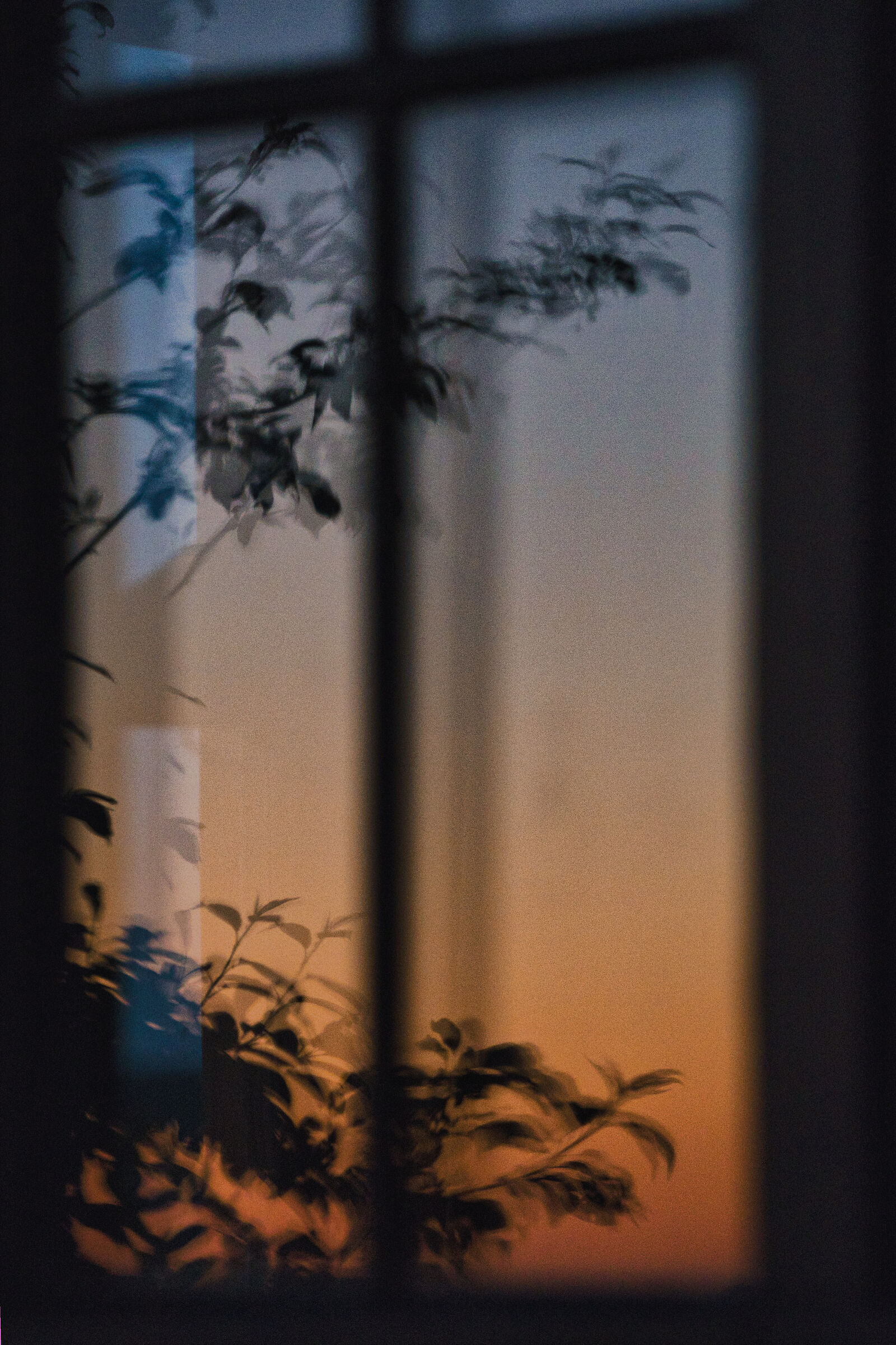 Trought the Windows