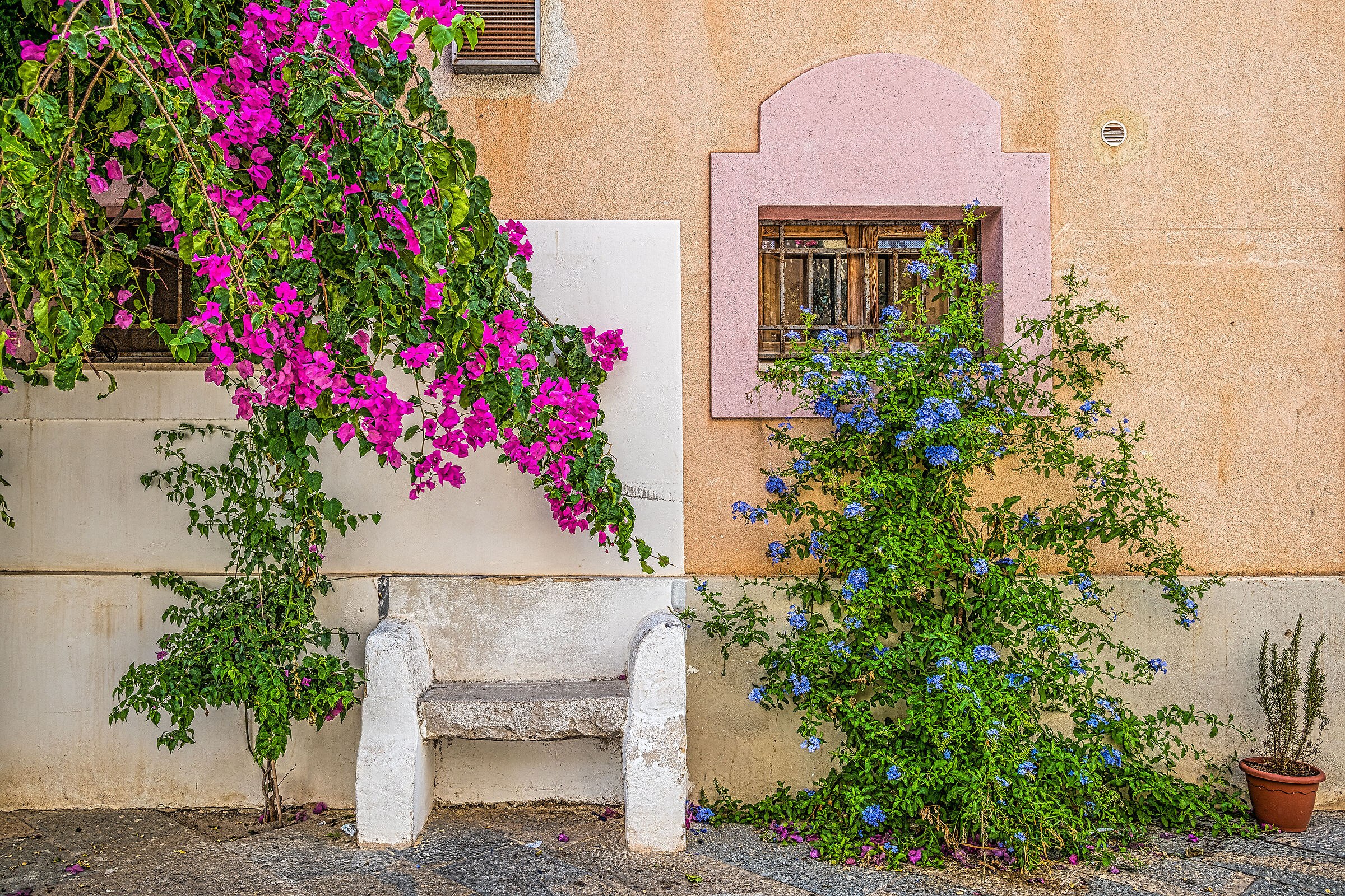 L'estate in un angolo ...