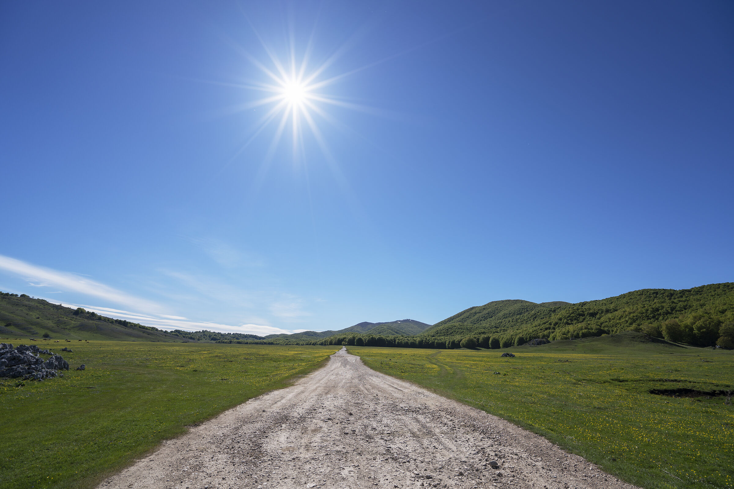 Camposecco Plateau (Rm)