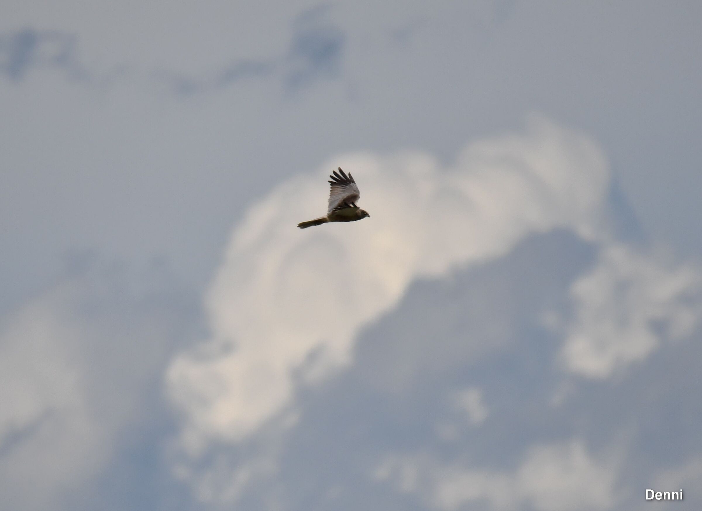 higher but always in flight