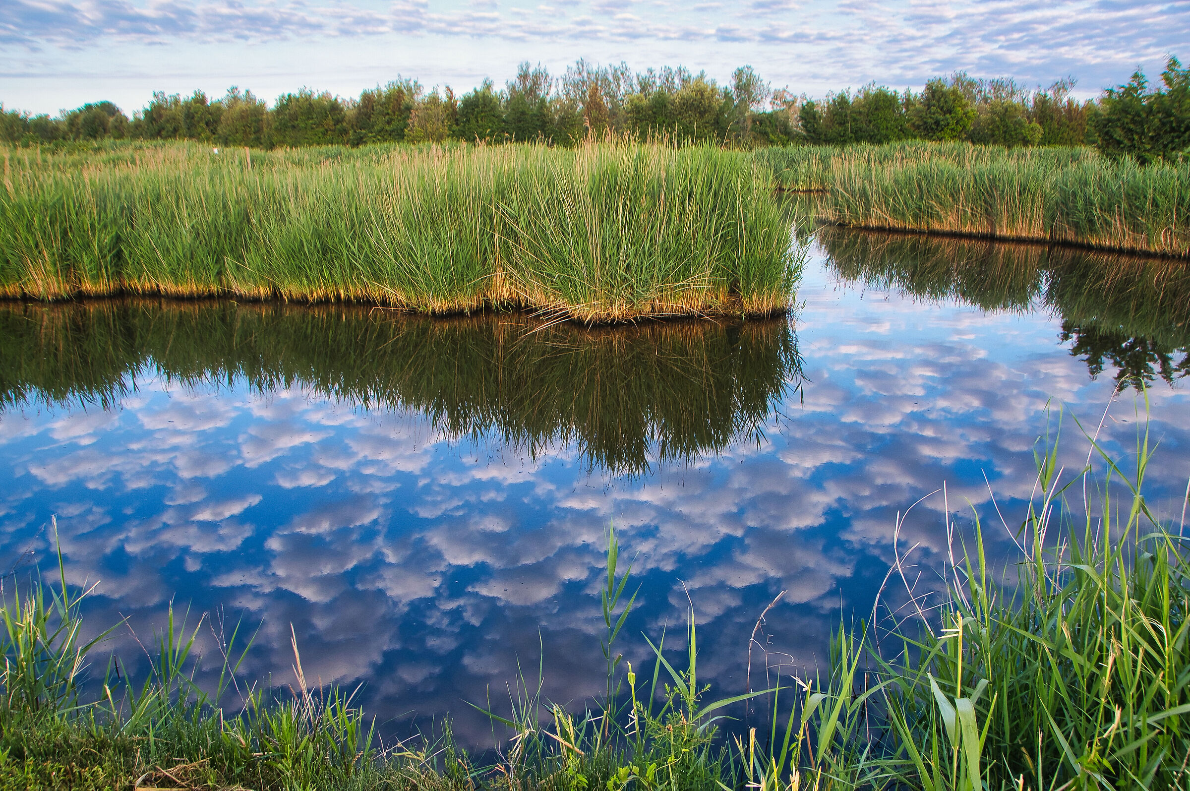 Riflessi di cielo e nuvole
