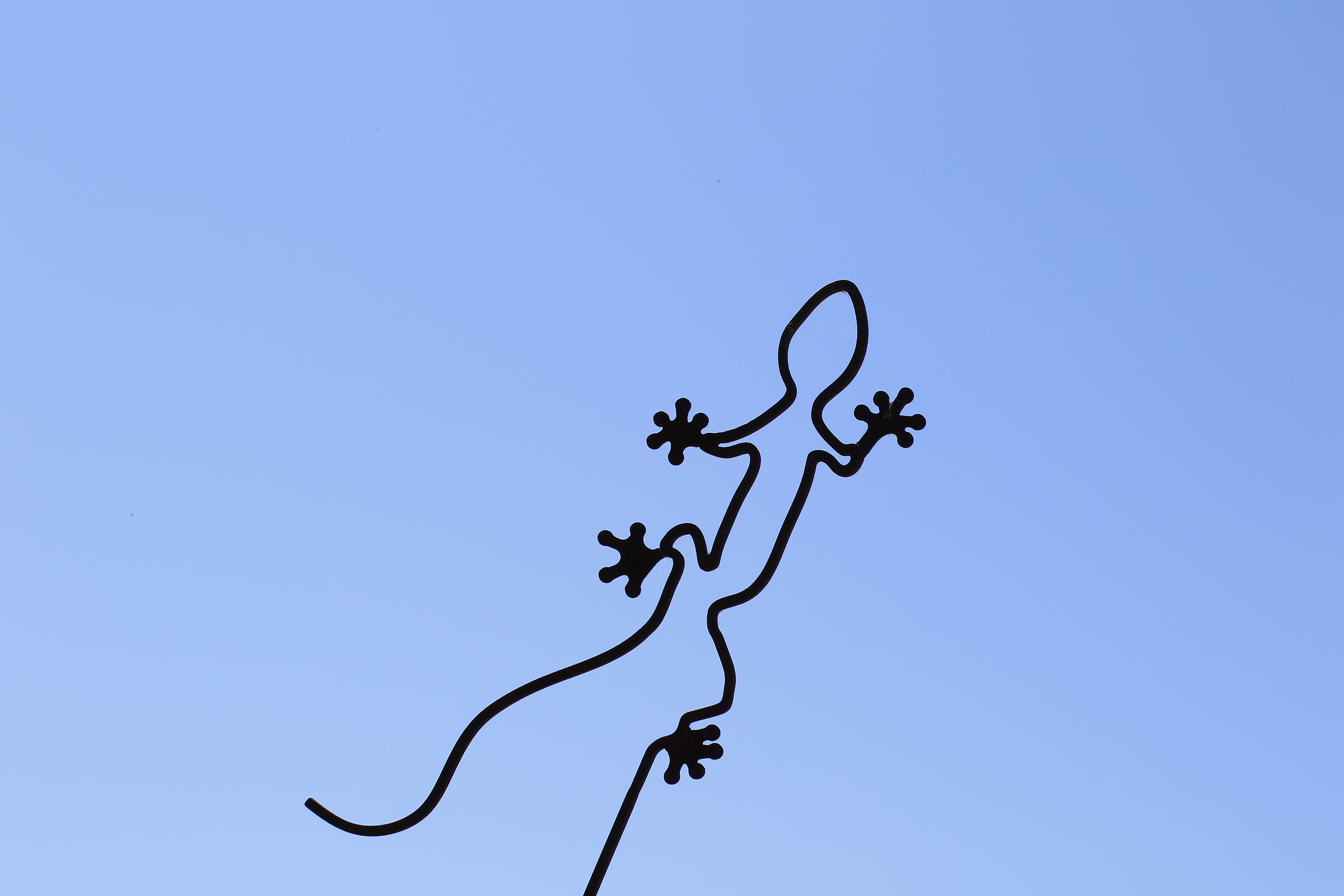 Milvus Zeiss 50, 1.4- Canon 7 D I I