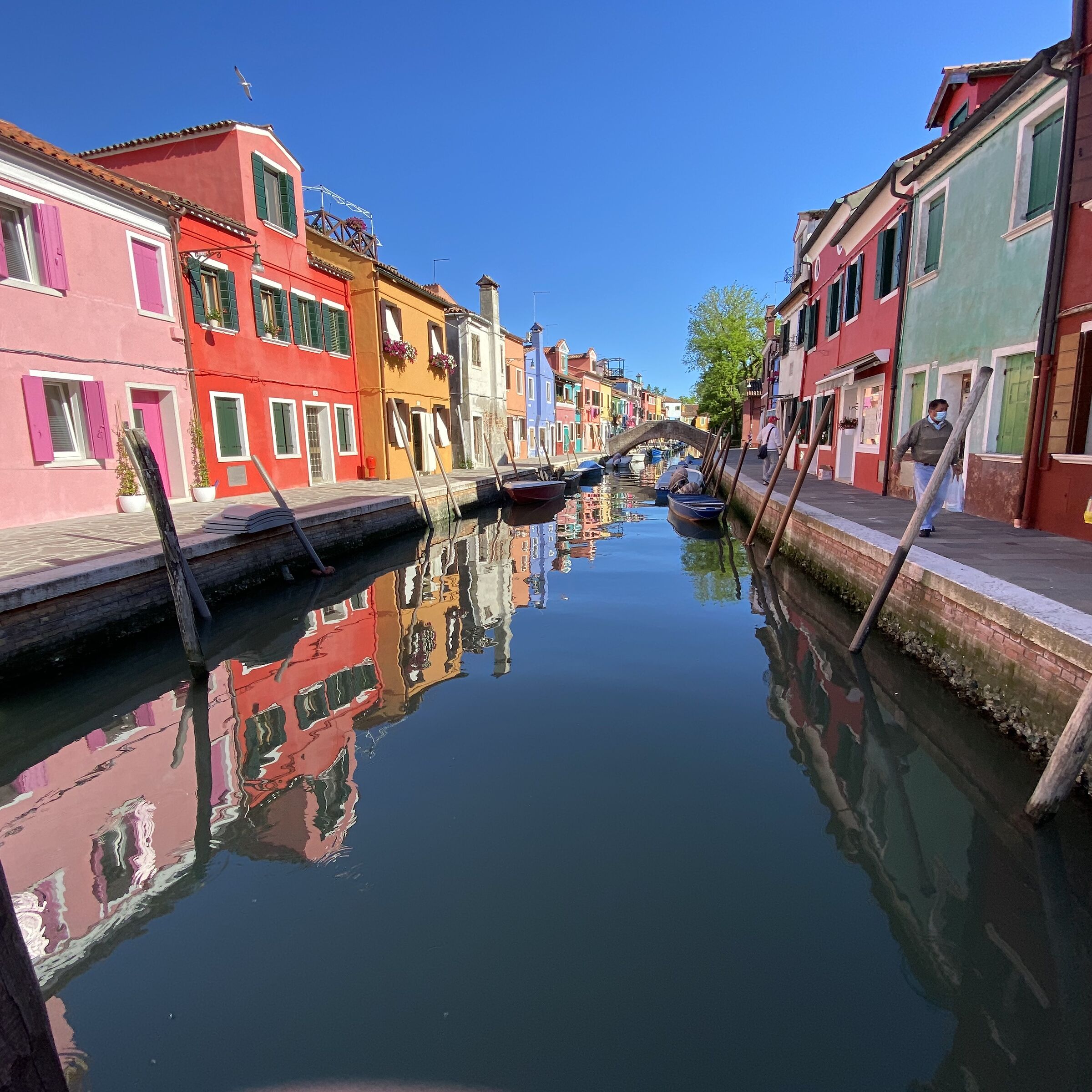 Burano, Iasa