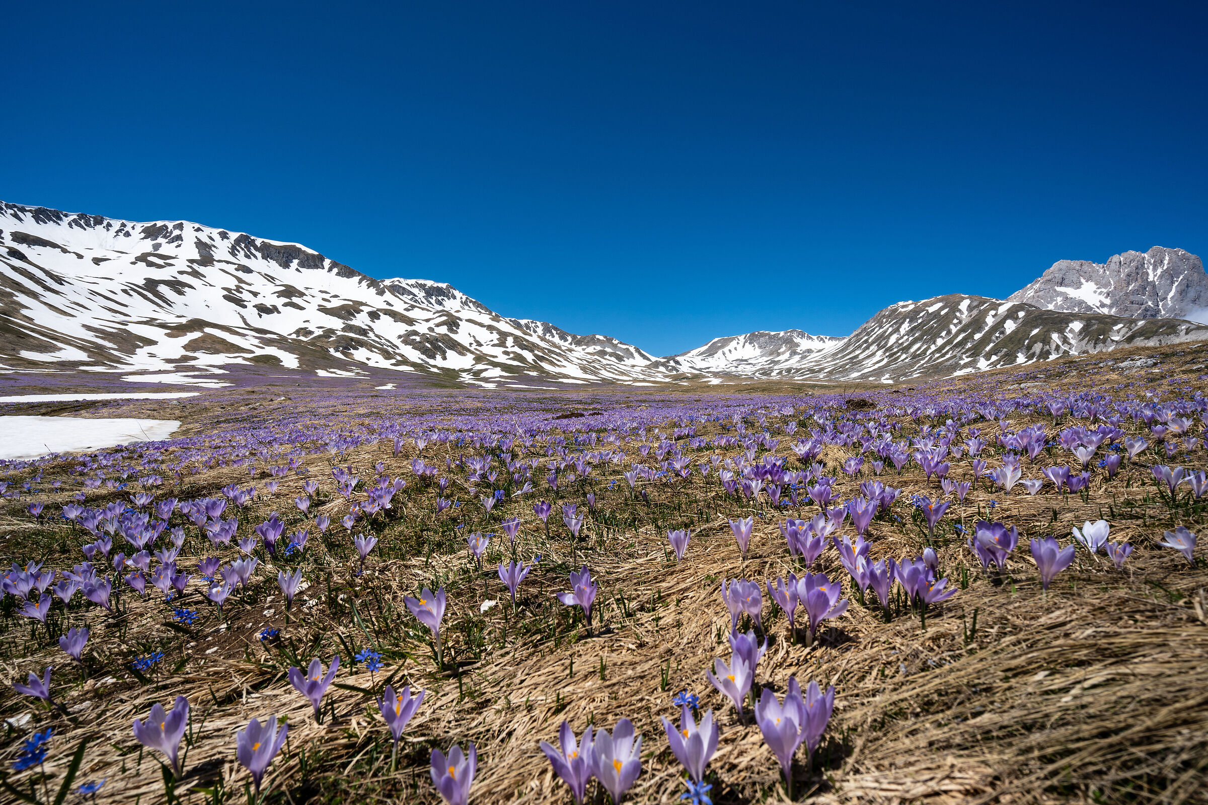 Crampus a Campo Imperatore (Abruzzo - Italia)