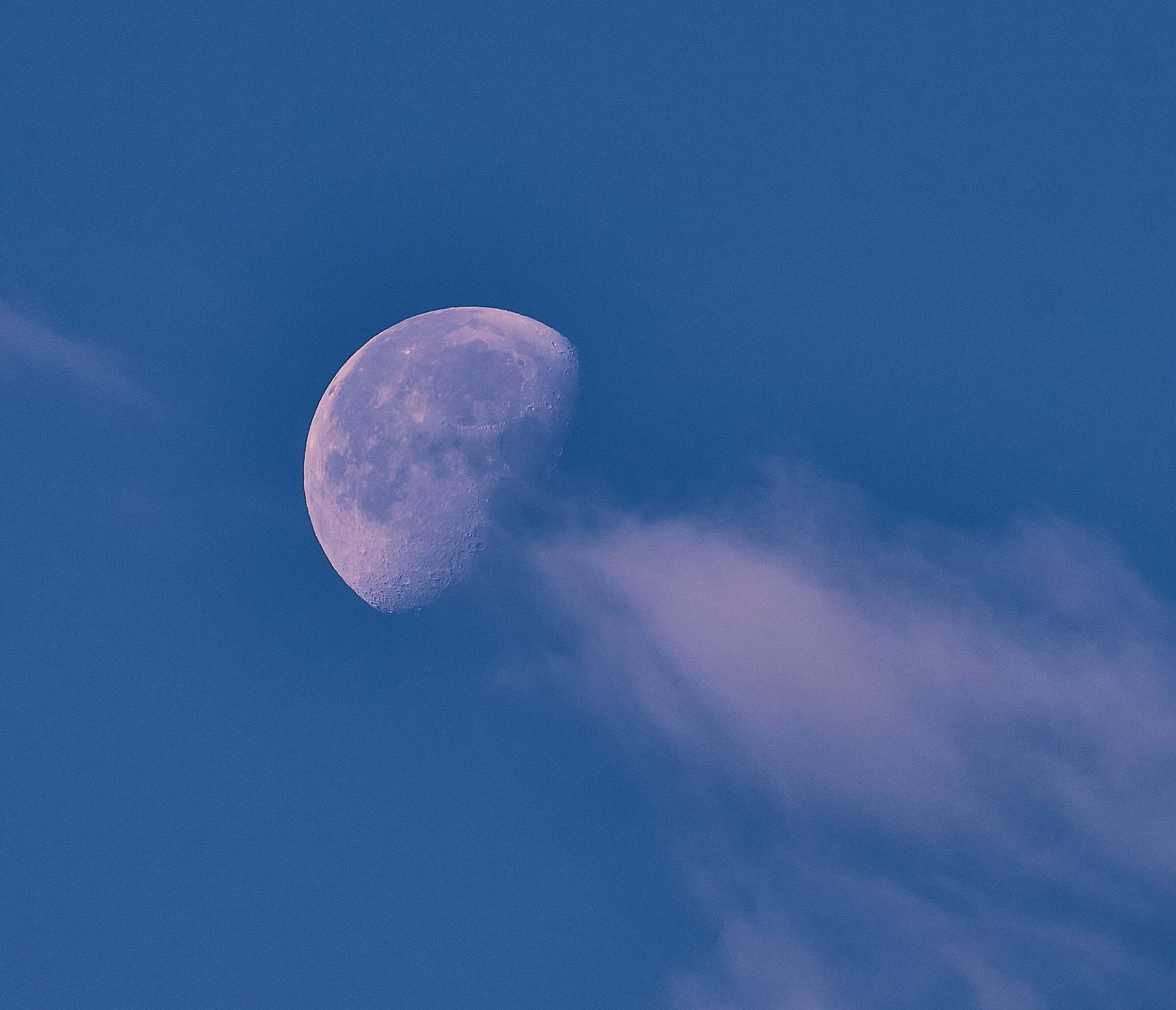 Luna del mattino.