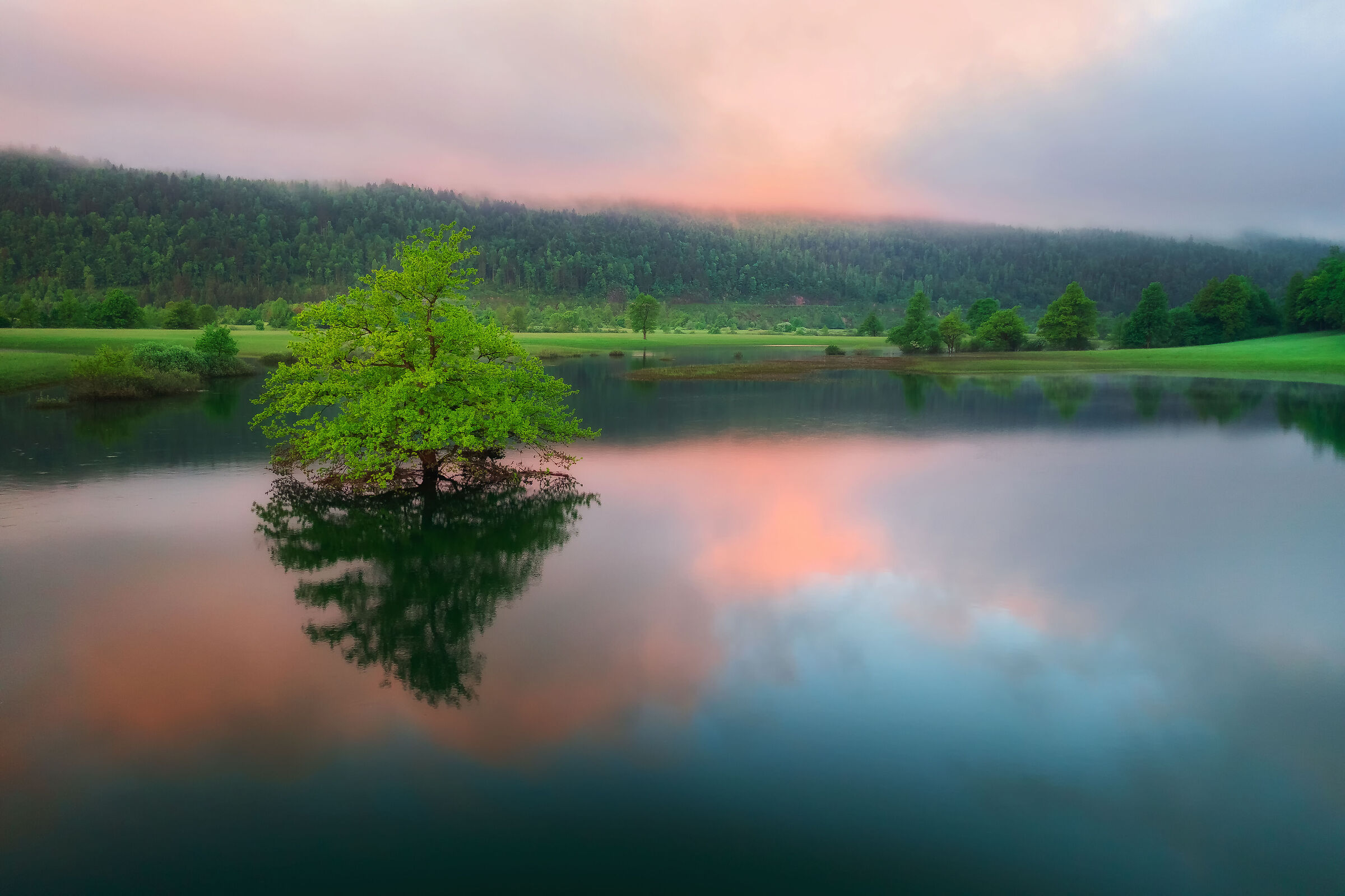 Mattina di primavera a Planinsko Polje