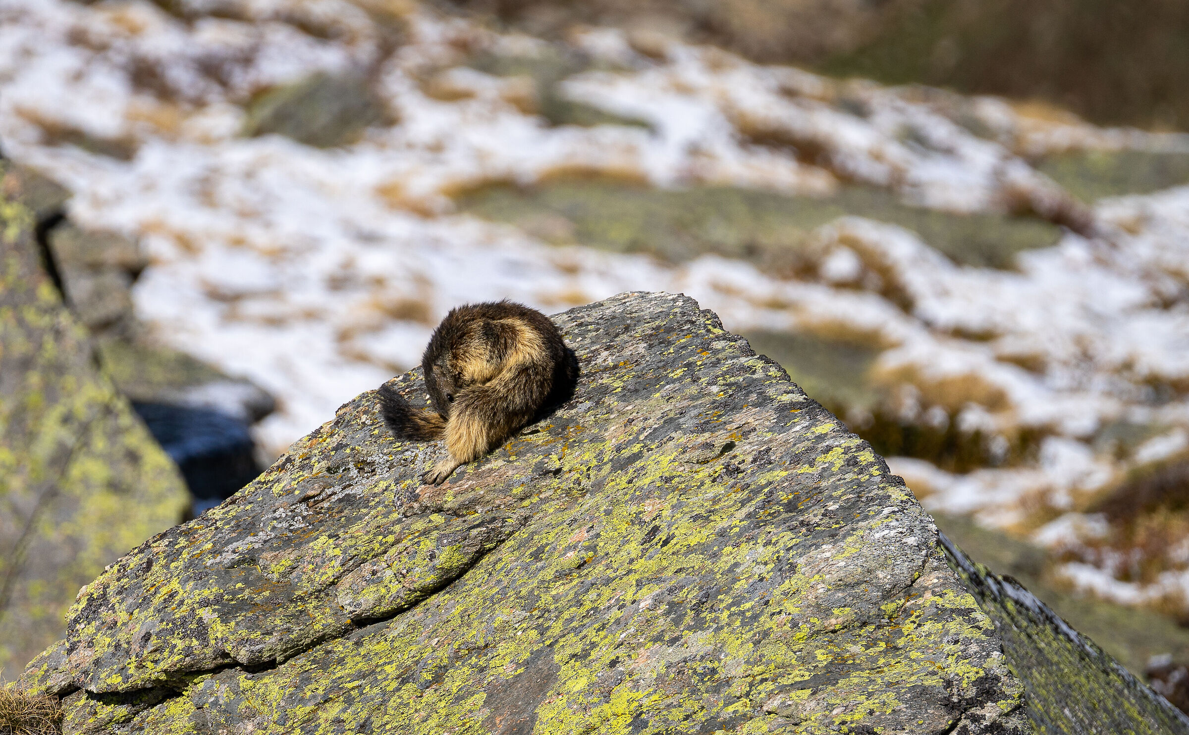 Uno sguardo indiscreto