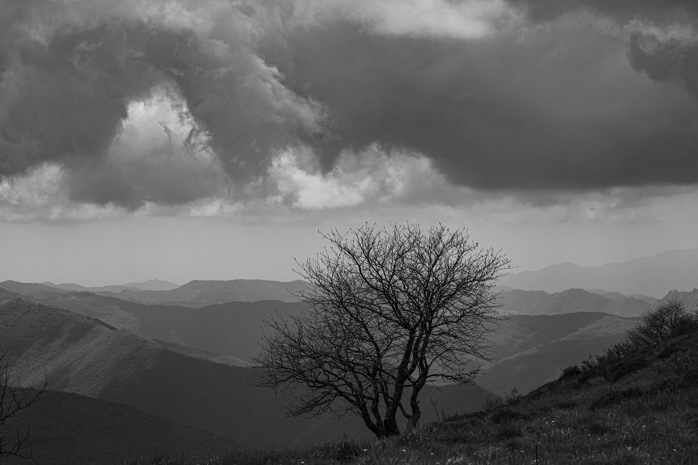 Punto panoramico, è arrivato prima Lui