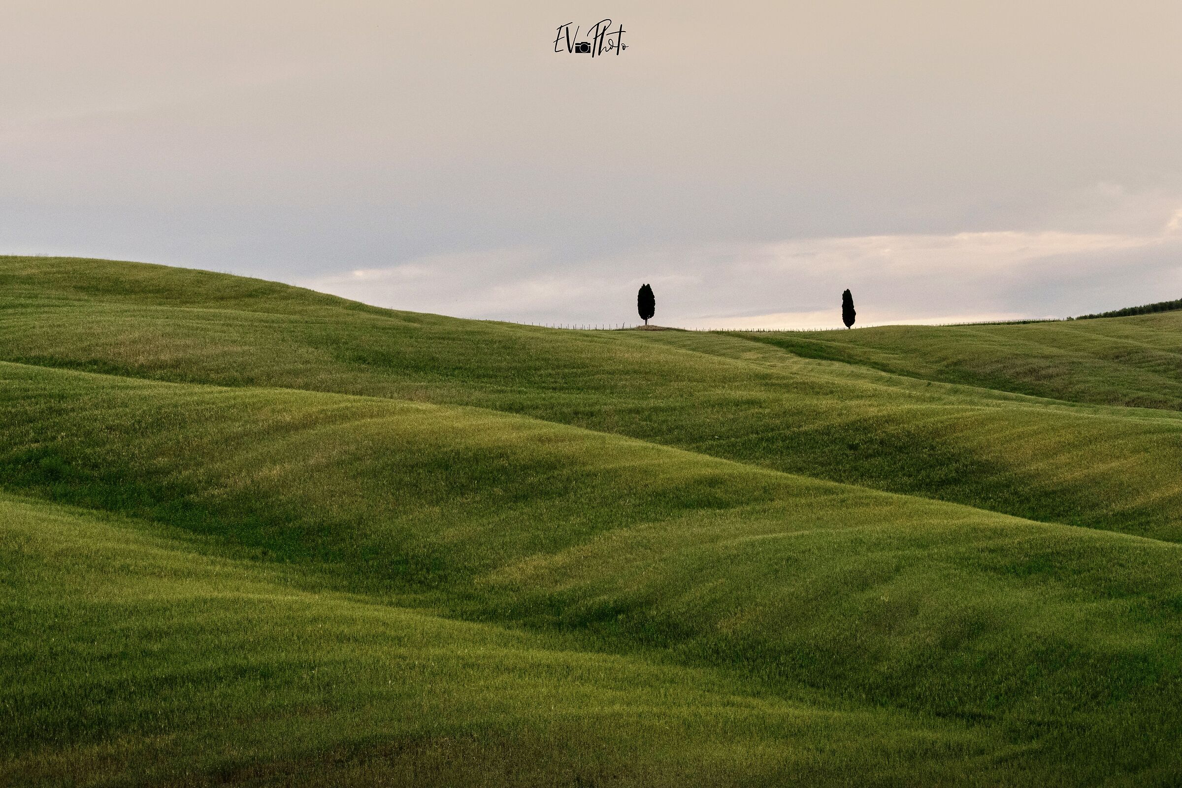 Velvet fields