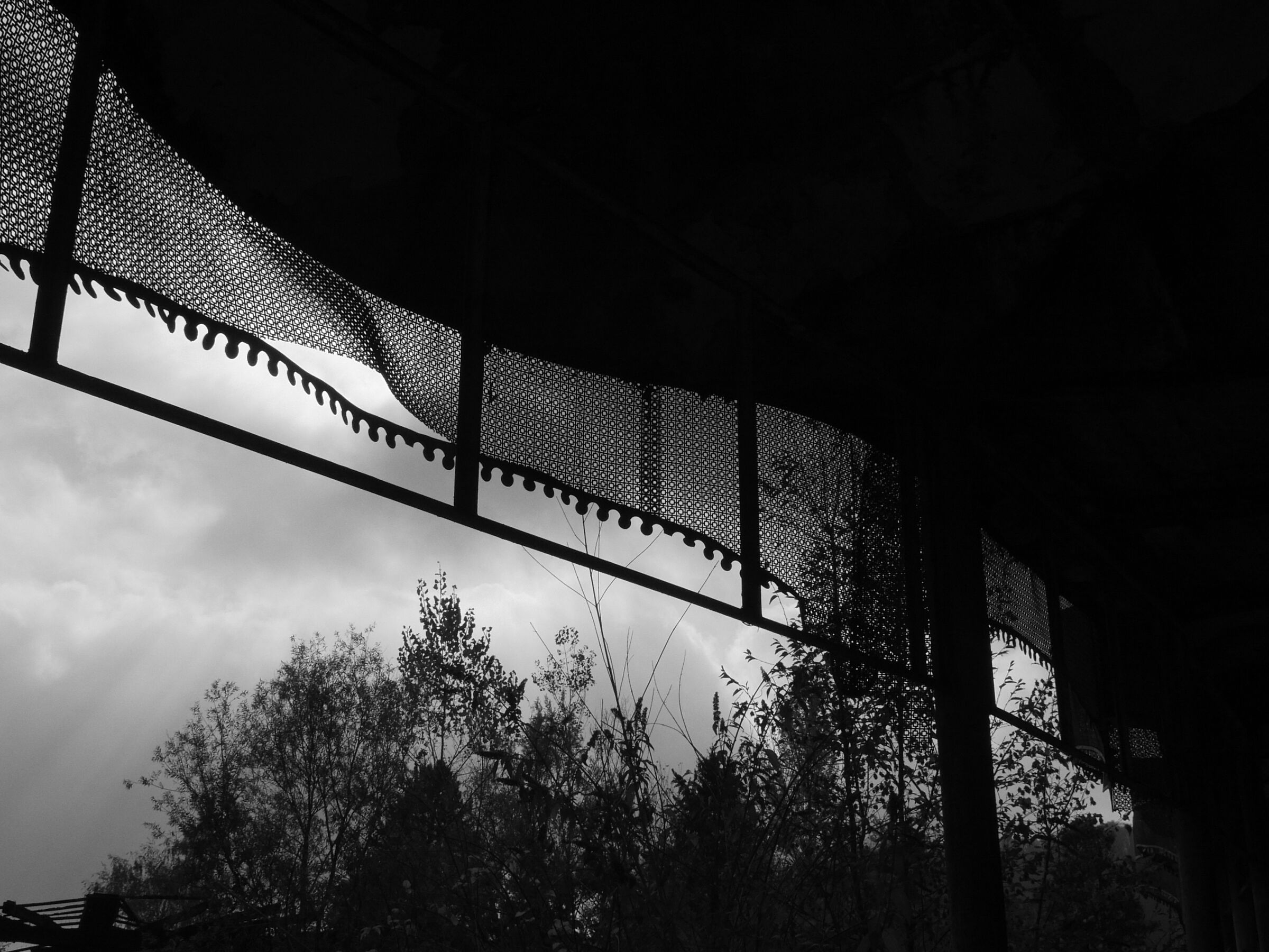 Untitled Photo