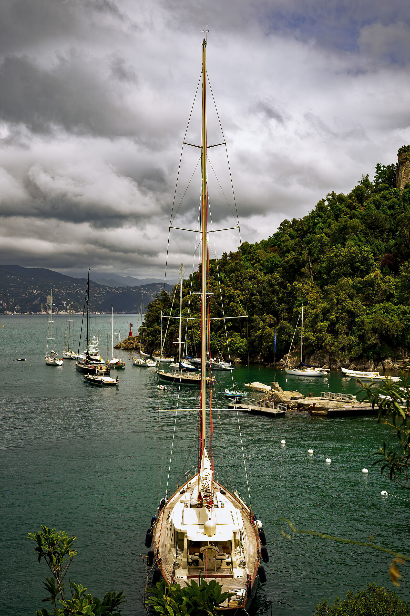 Magical Portofino