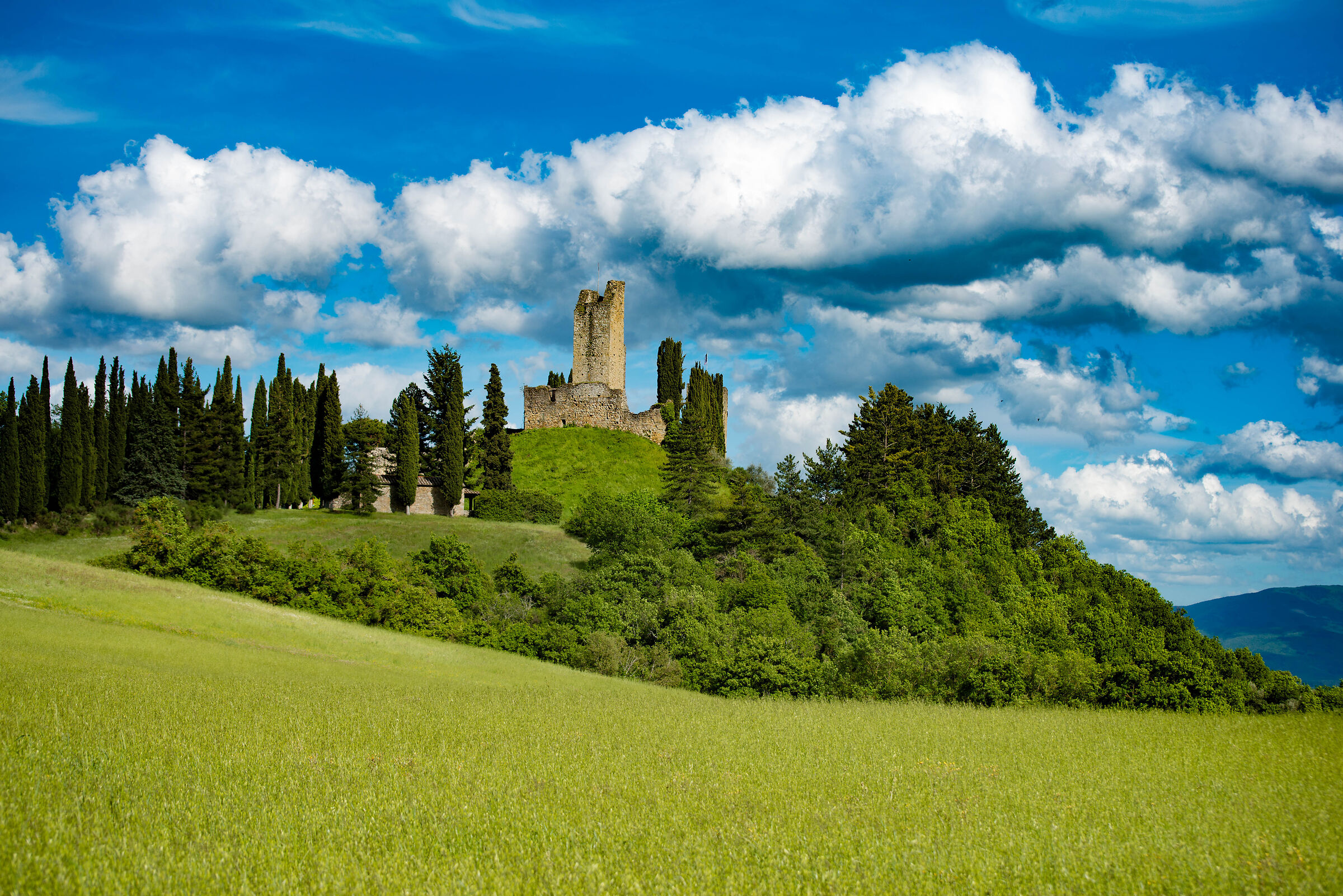 Romanian Castle. Casentino -