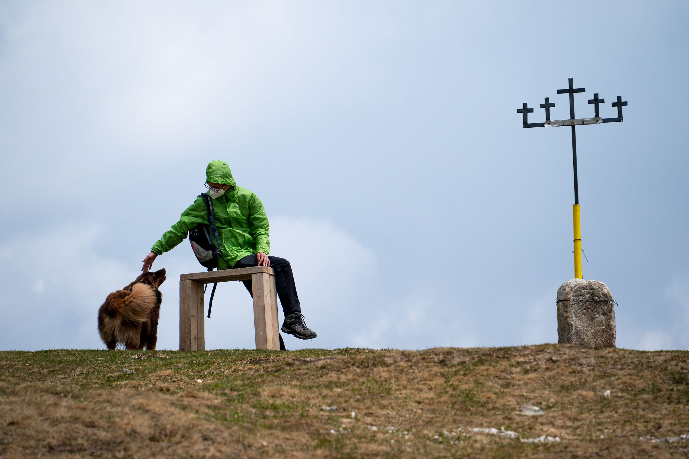incontro cane - bambino