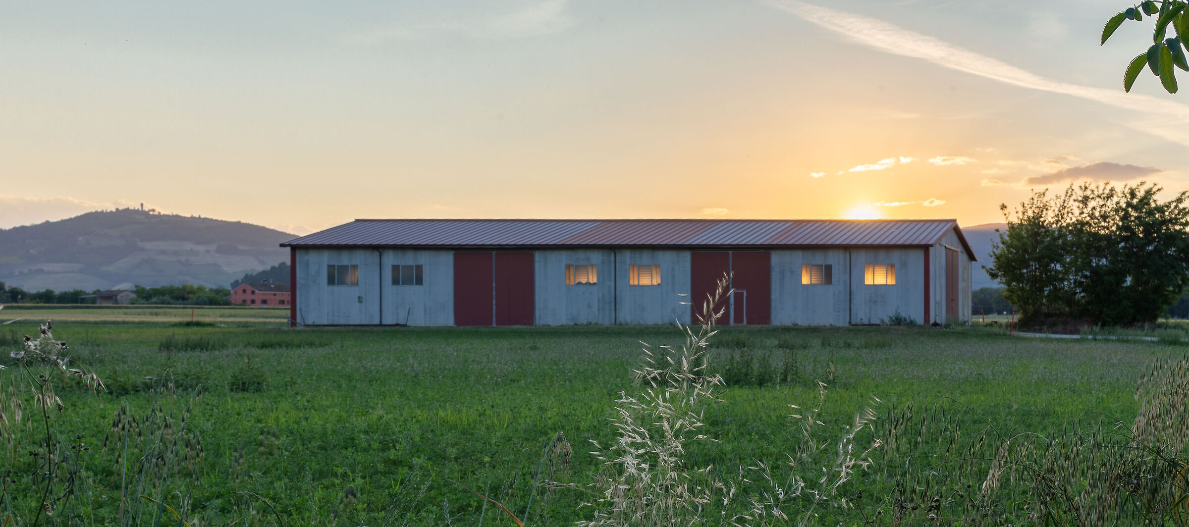 "Passeggiata in campagna", Passo di Treia(MC)