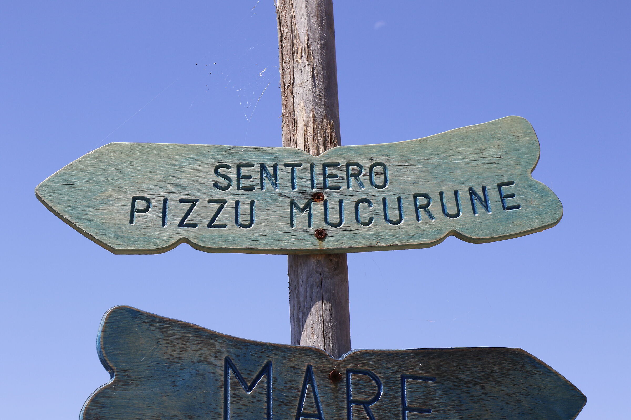 Ragnatela sul sentiero