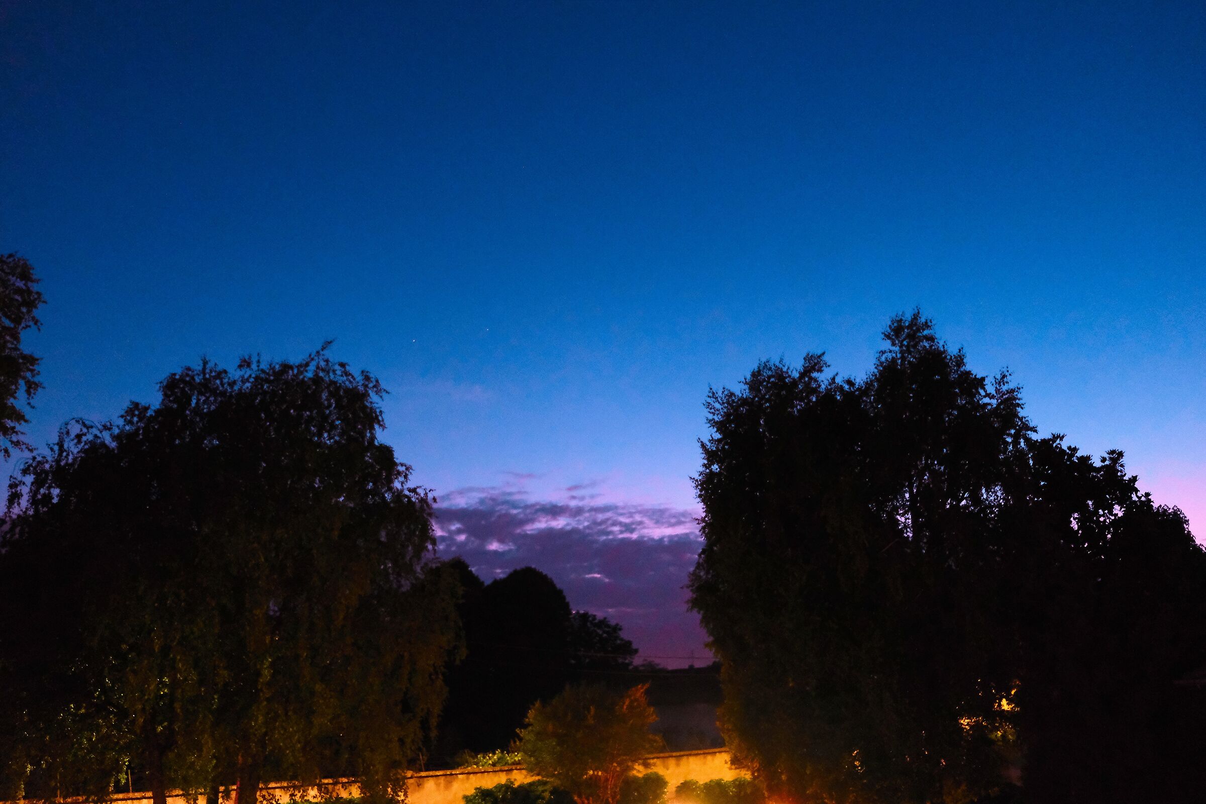 Trees and clouds June 2021