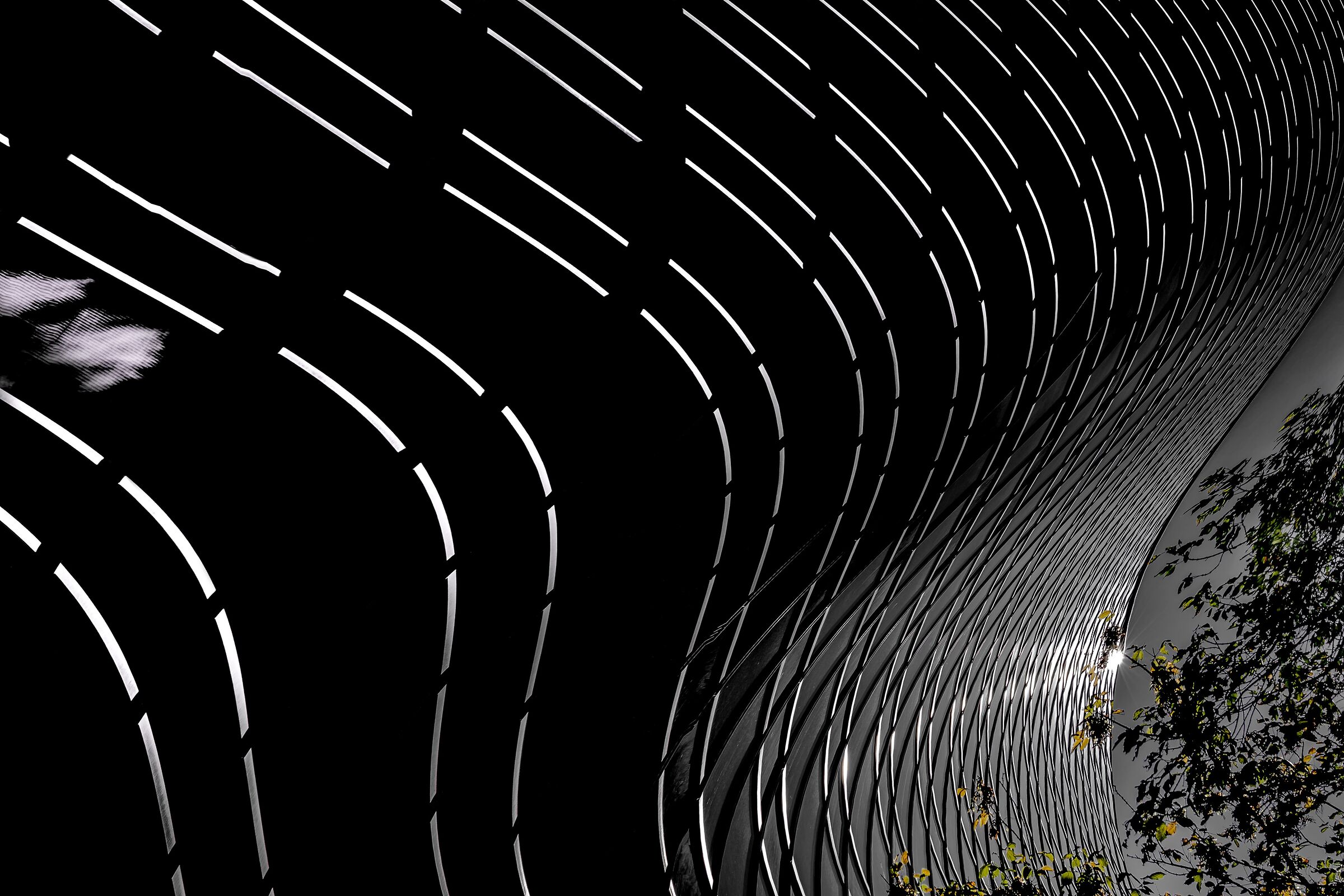 Living on the curve