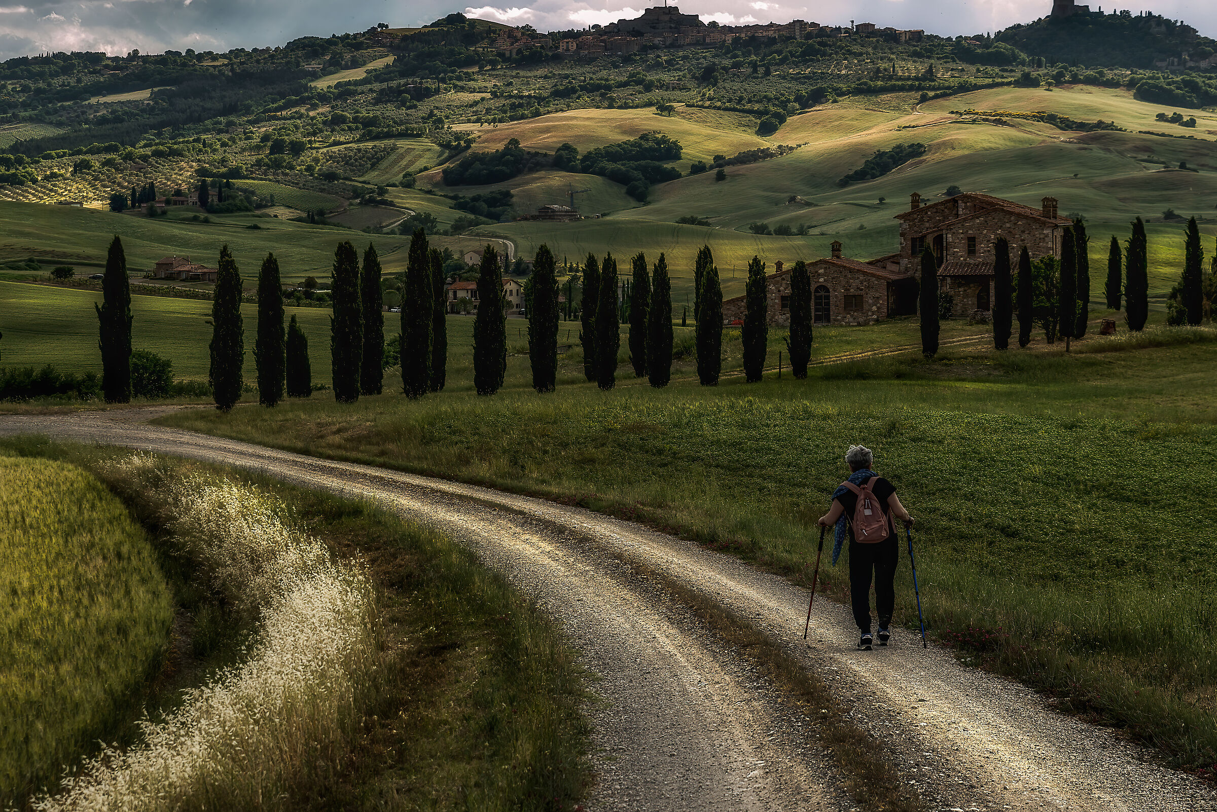 barcollo ma non mollo