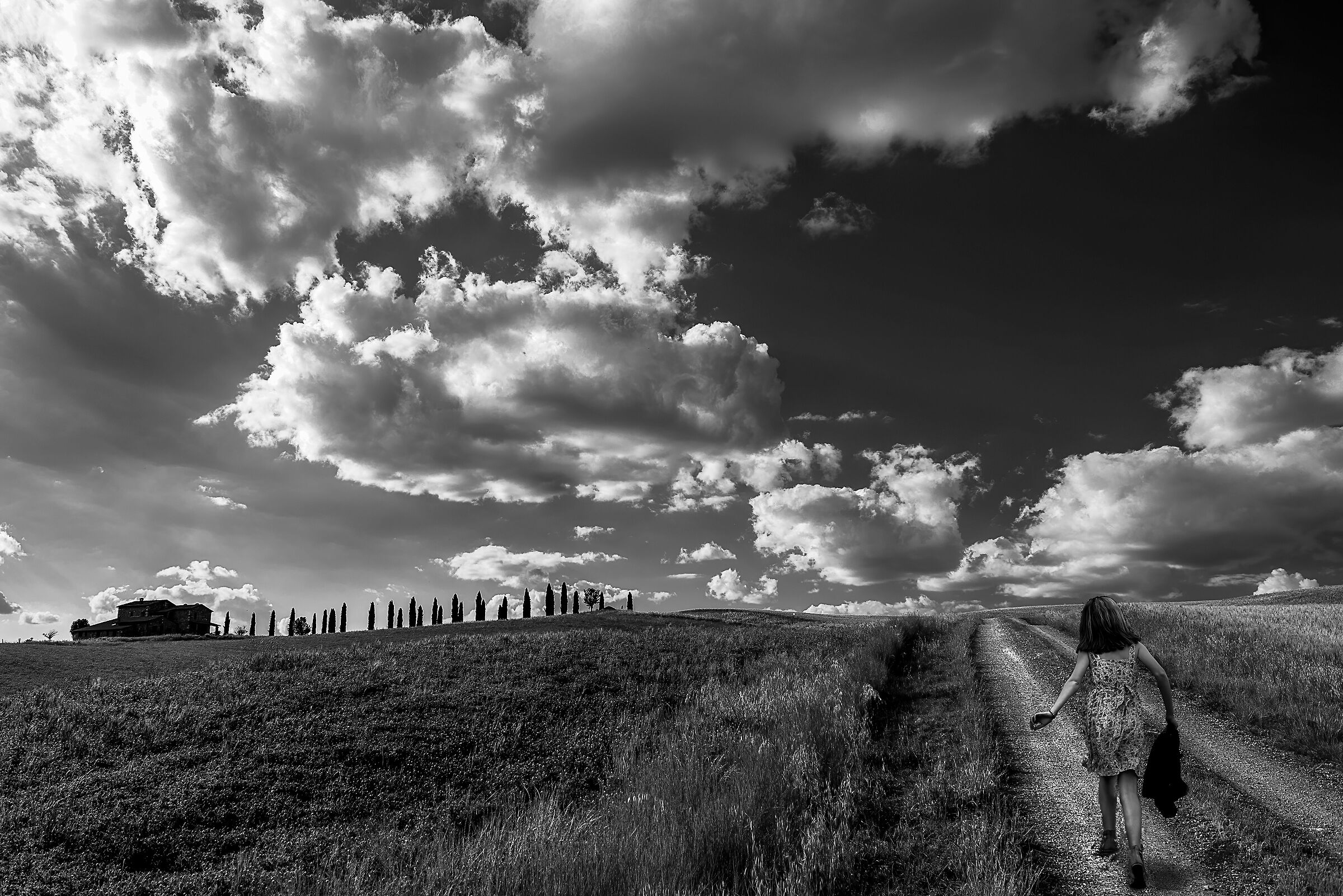 landscape val d'orcia