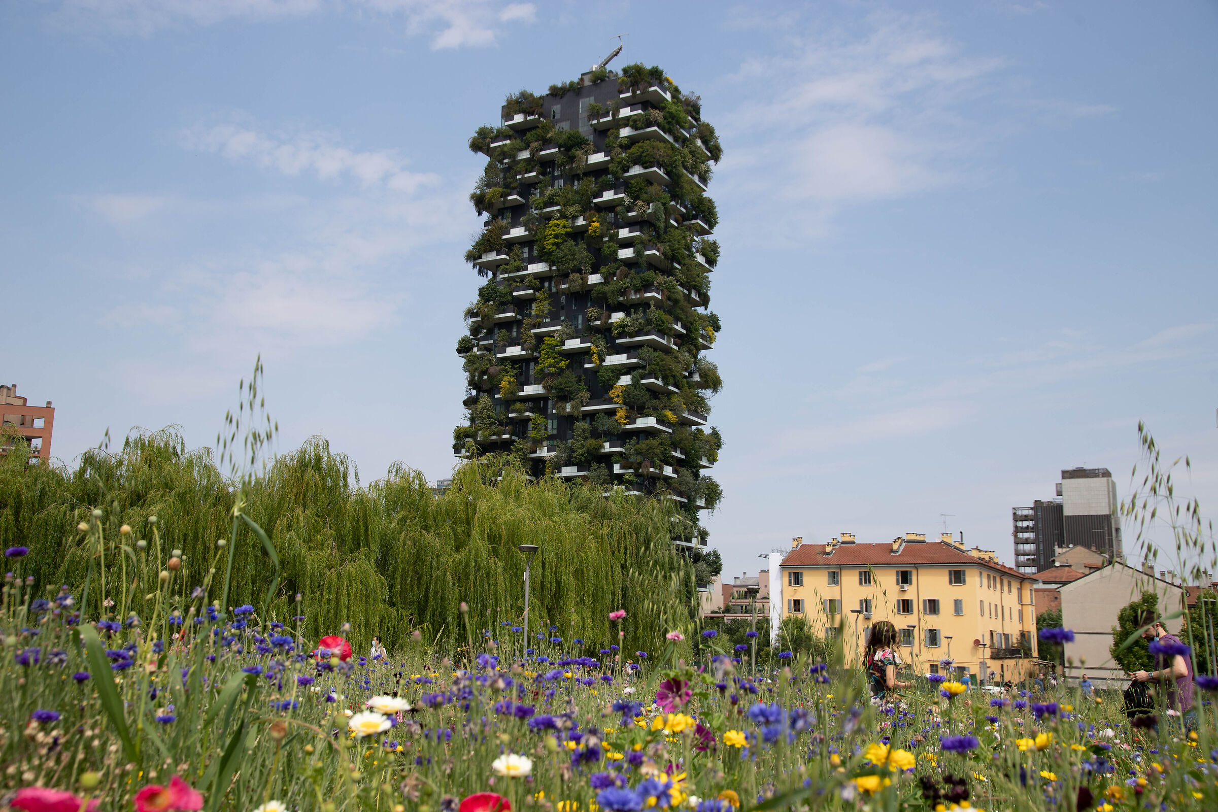 The green architecture of the Vertical Forest