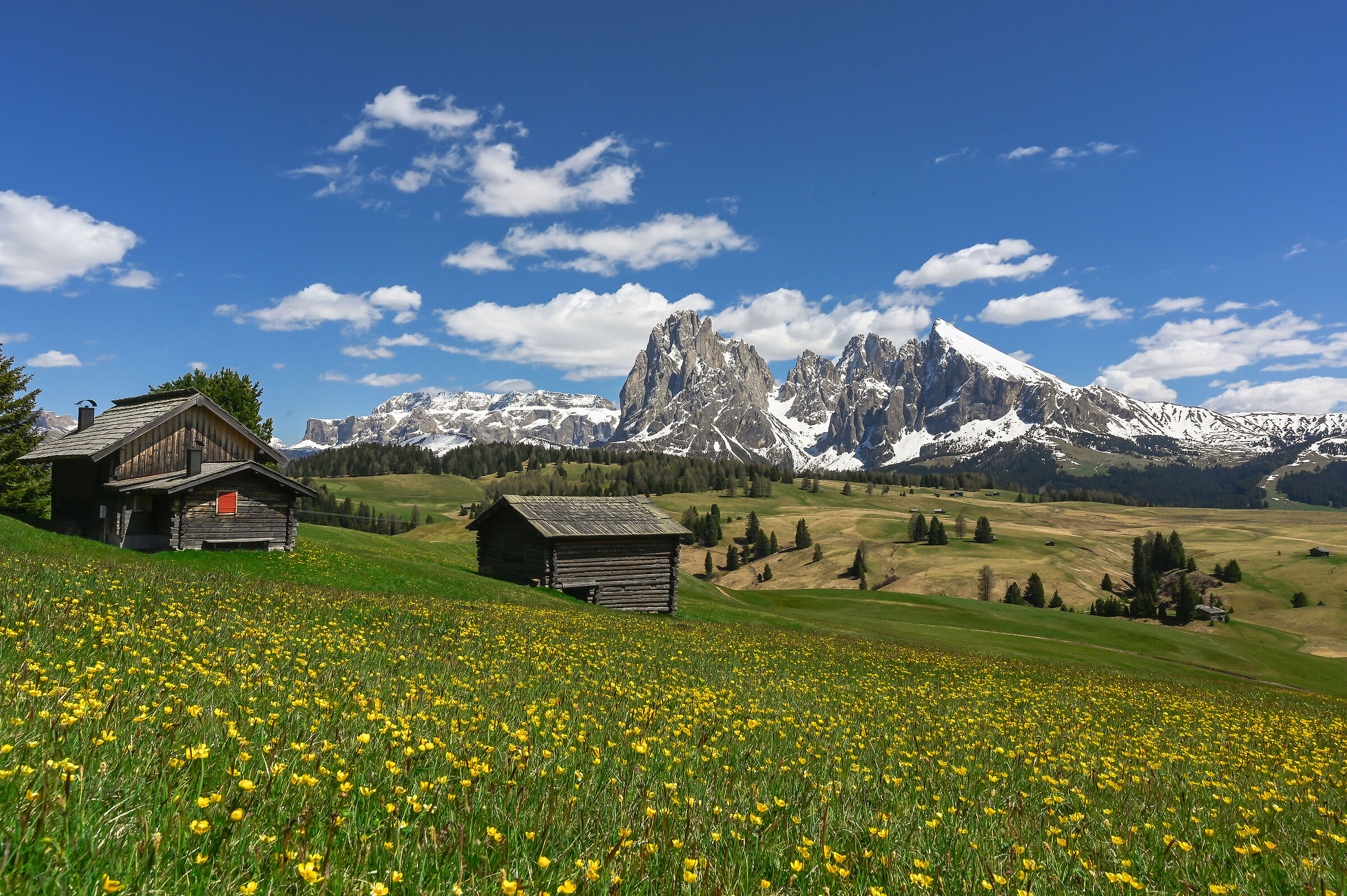 Alp of Siusi