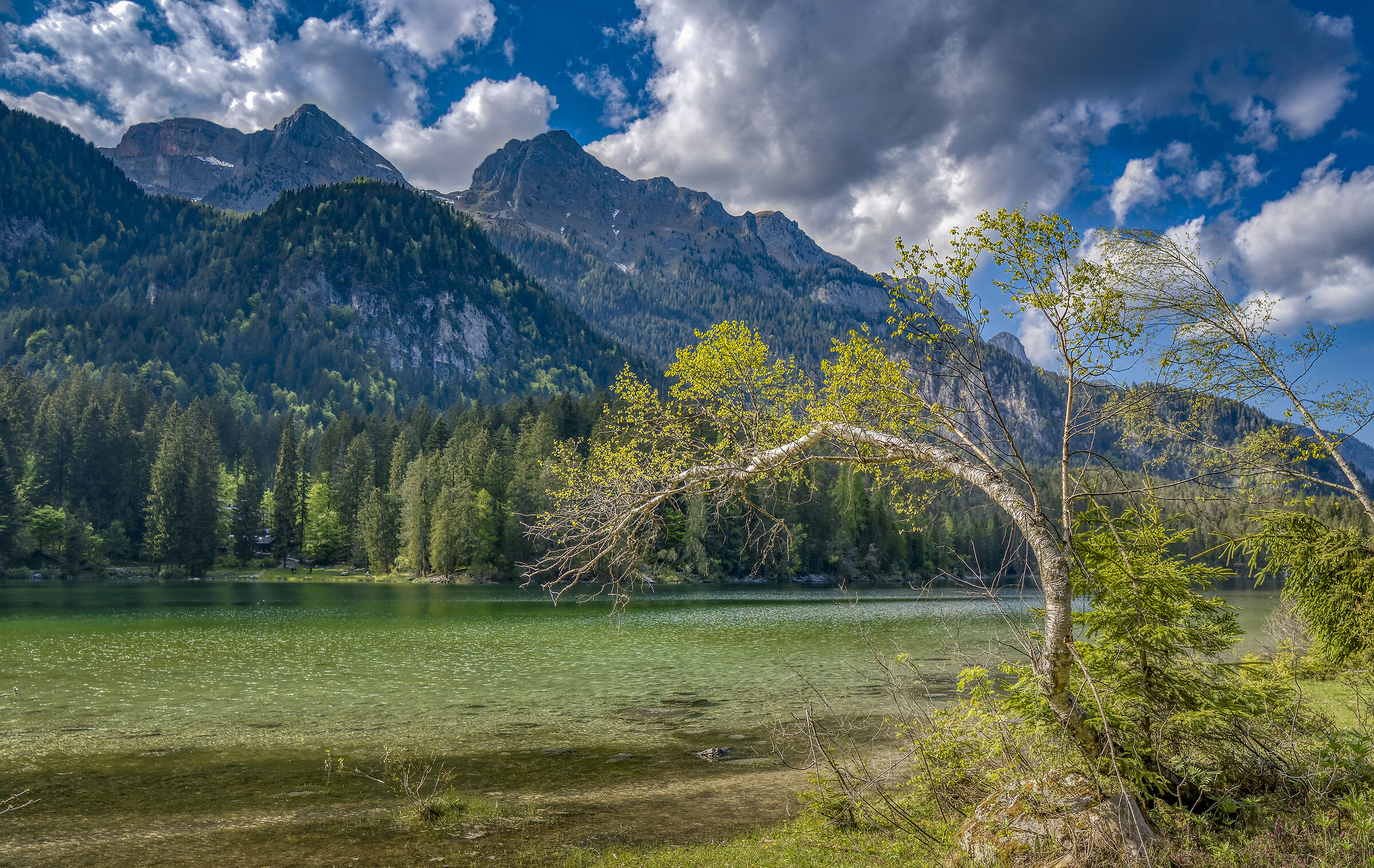 Lago di Tovel