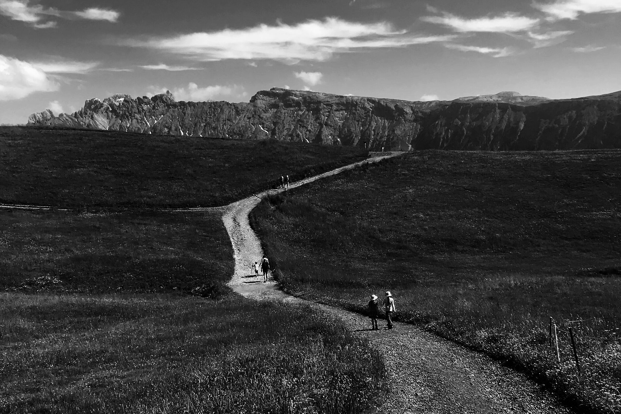 Bullaccia_alpe_Siusi