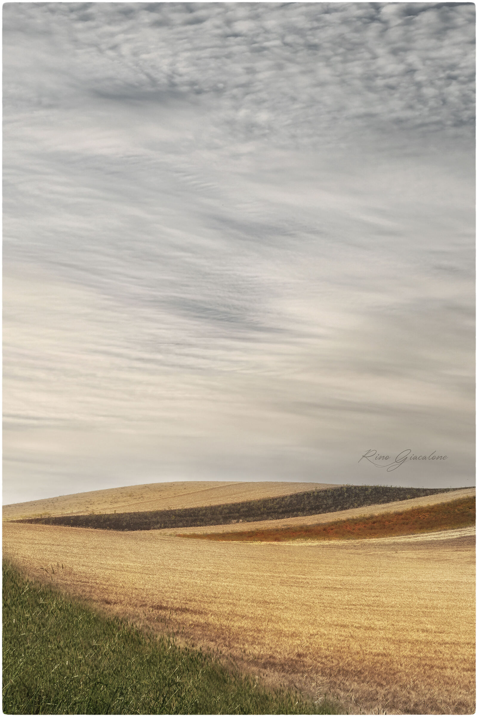 windows xp