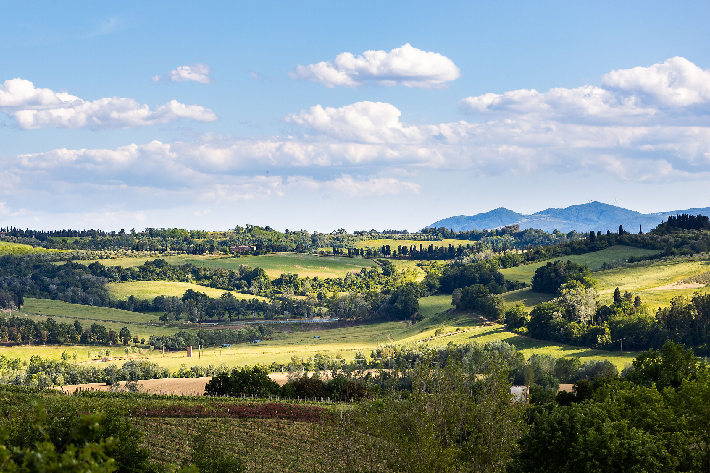 View from the hills of Montefoscoli