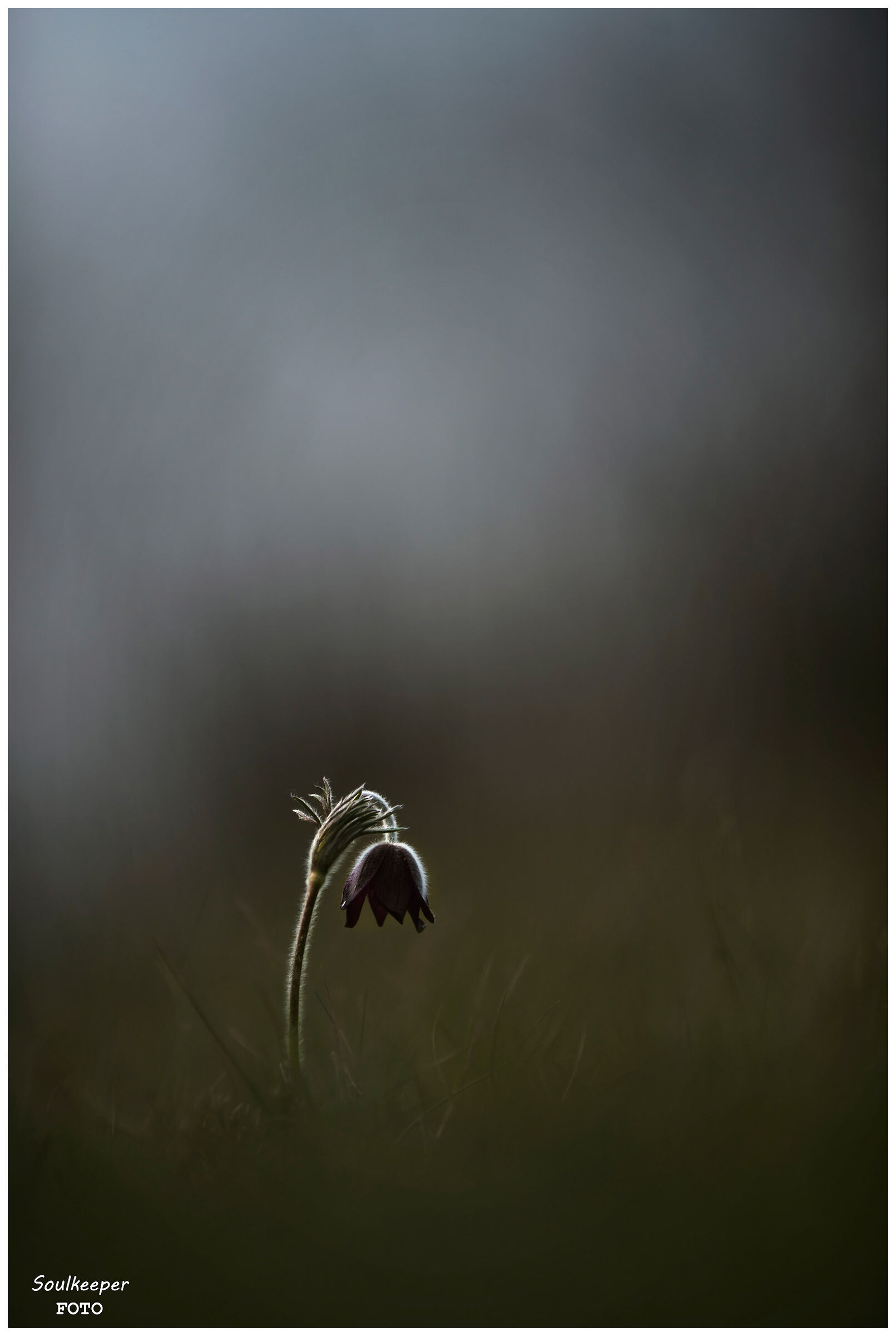 Ci sono dei momenti...