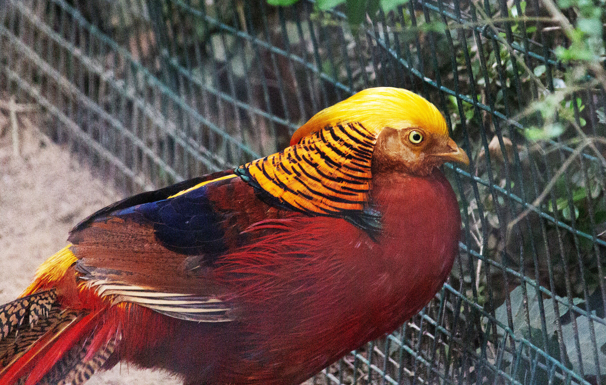 ... only to me reminds me of "someone"...