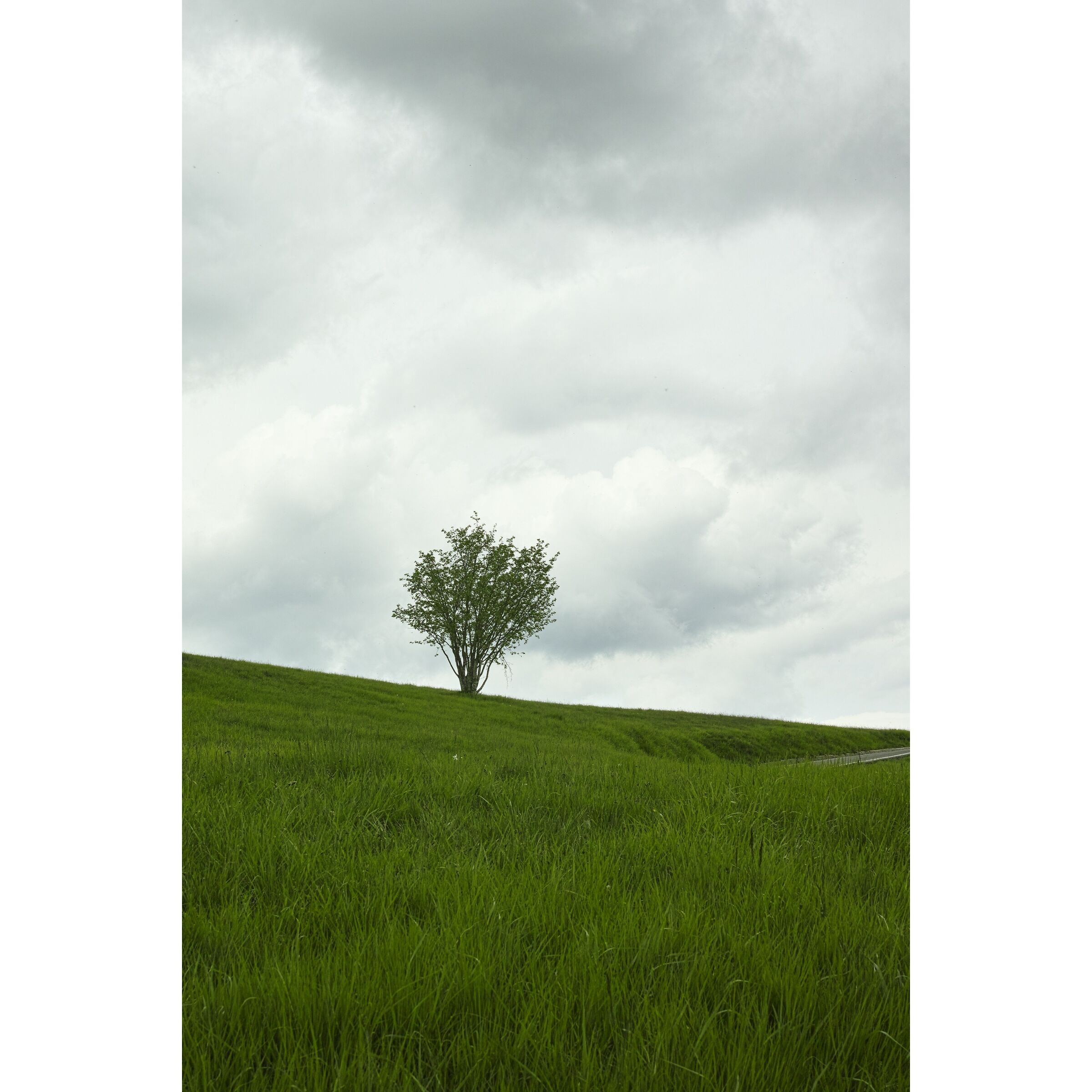 Untitled Photo