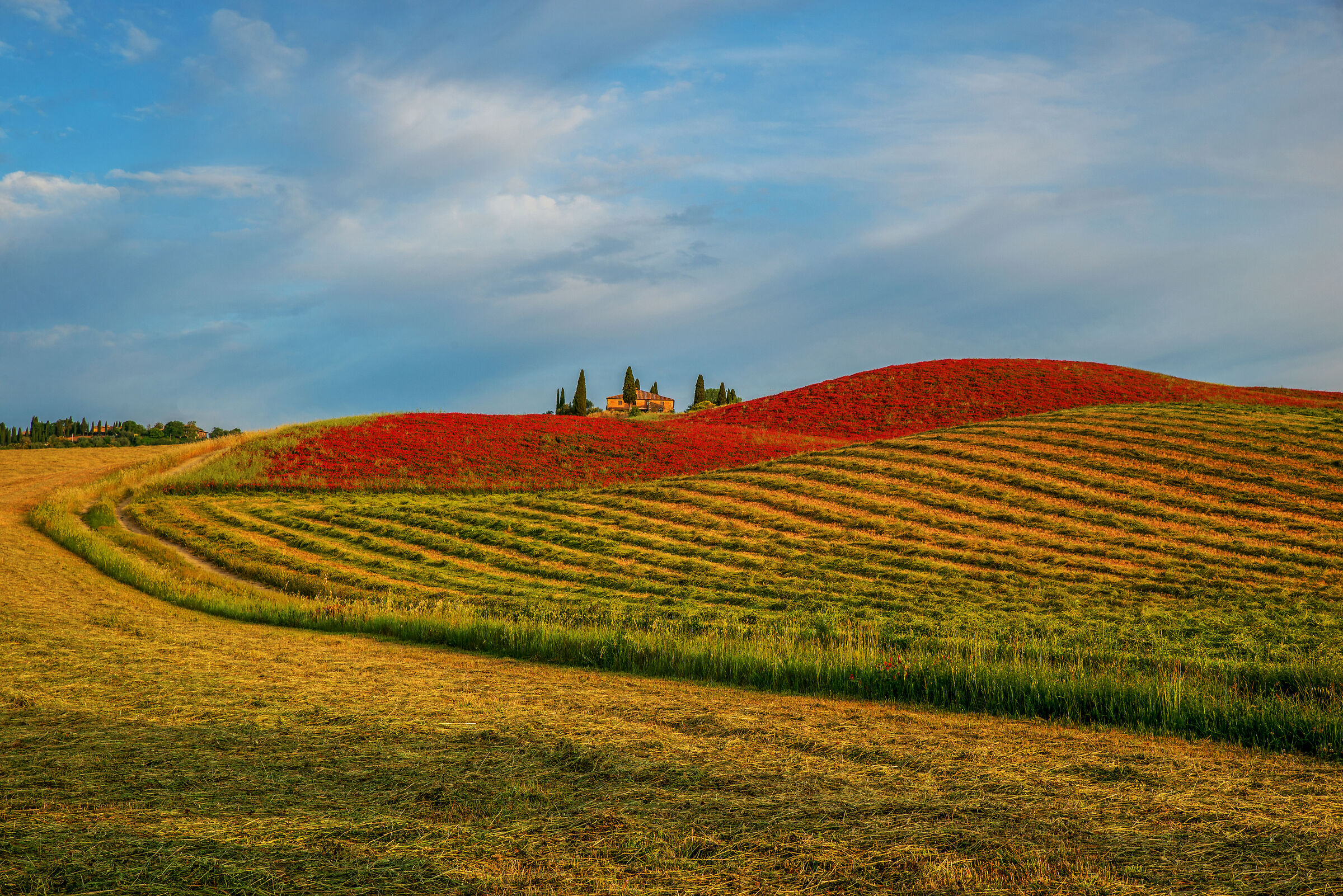 towards the Belvedere