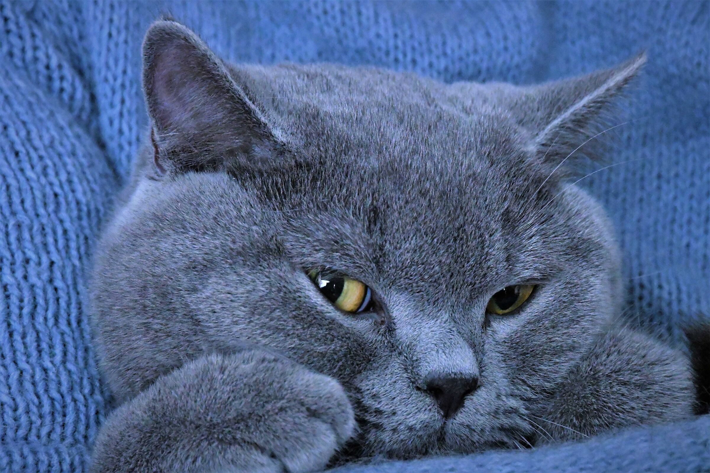 Do not disturb