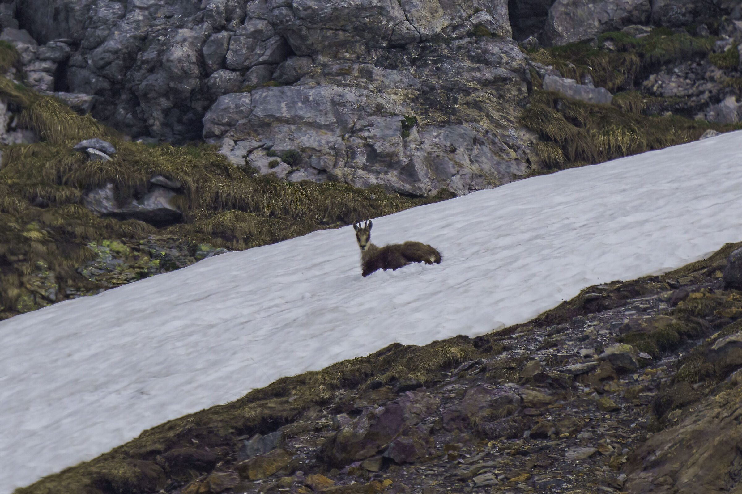 Che bene che sto qua