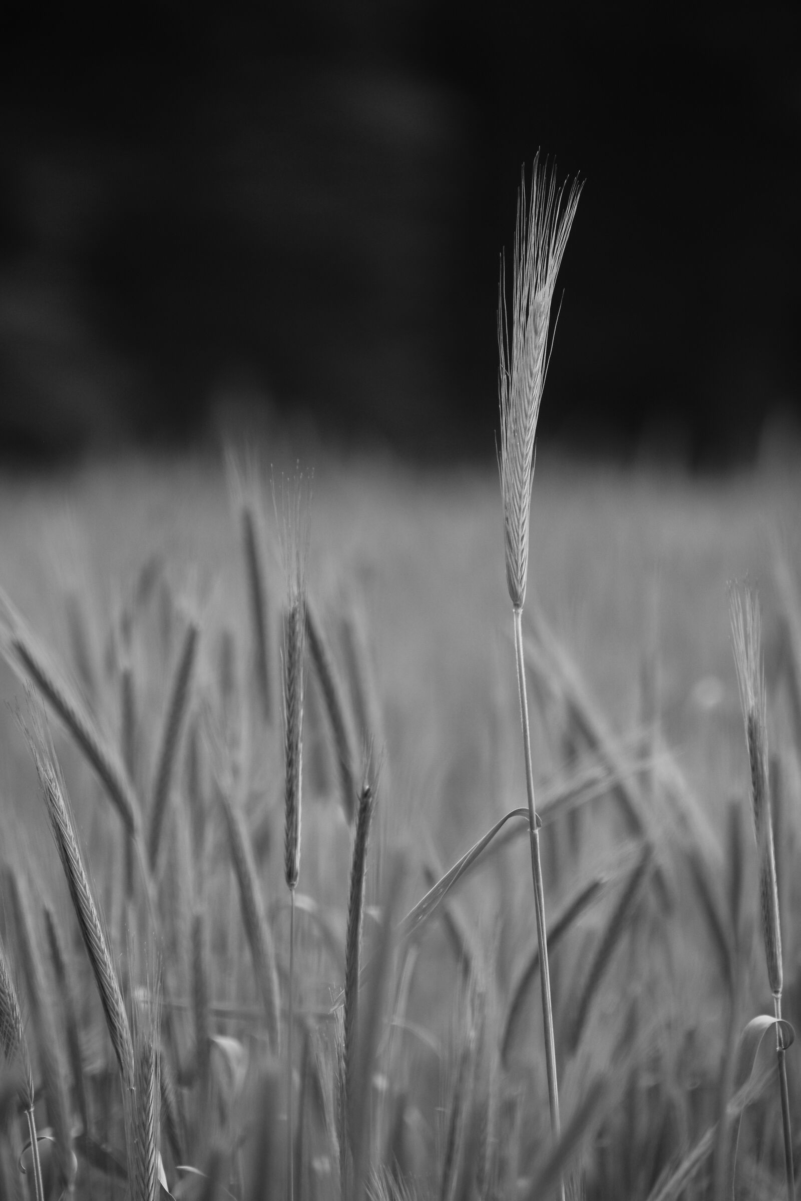 Untitled Photo